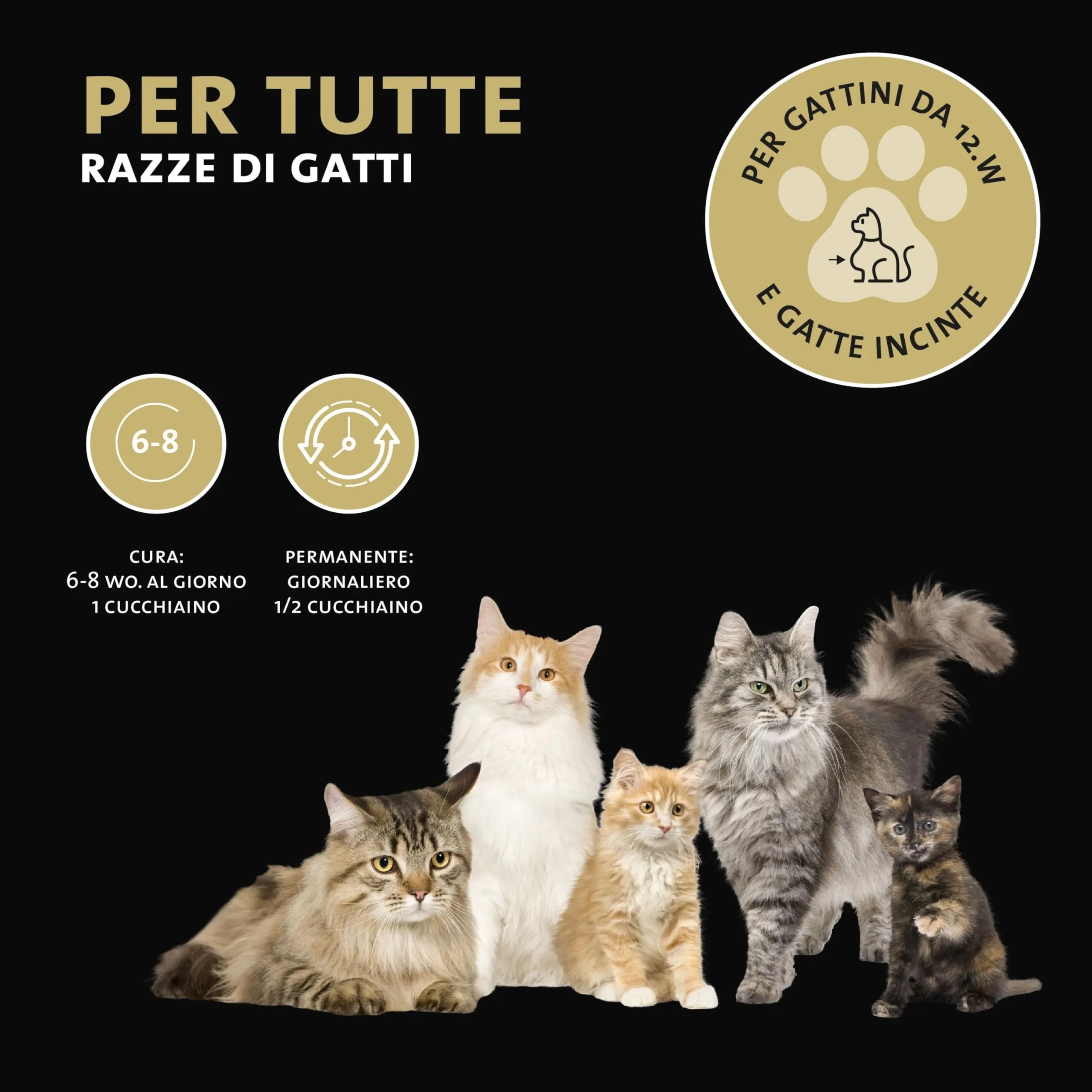 Peticare Polvere Flora Intestinale Gatti con Probiotici e Prebiotici, 200 g - immagine 3