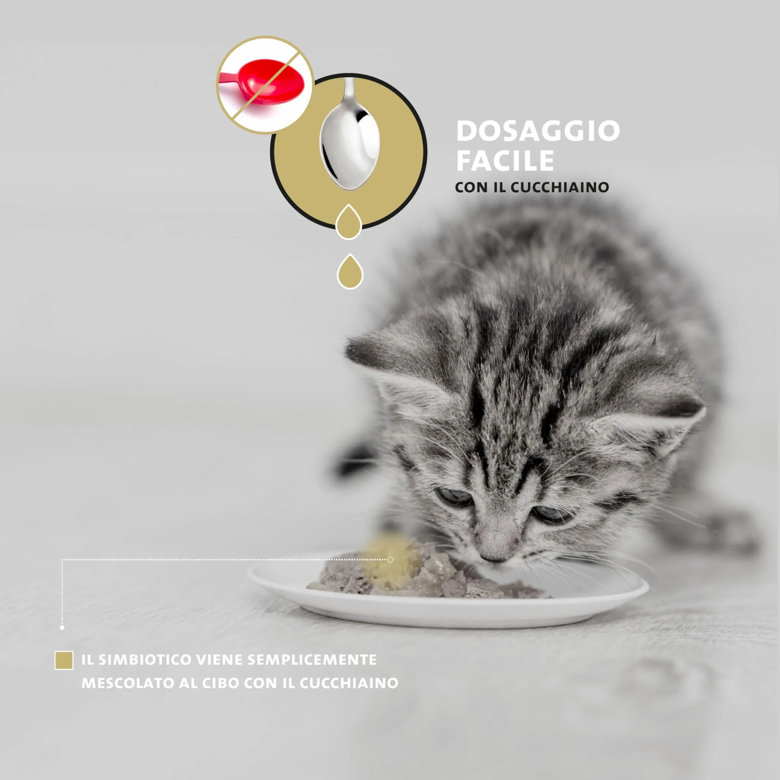 Peticare Polvere Flora Intestinale Gatti con Probiotici e Prebiotici, 200 g - immagine 5