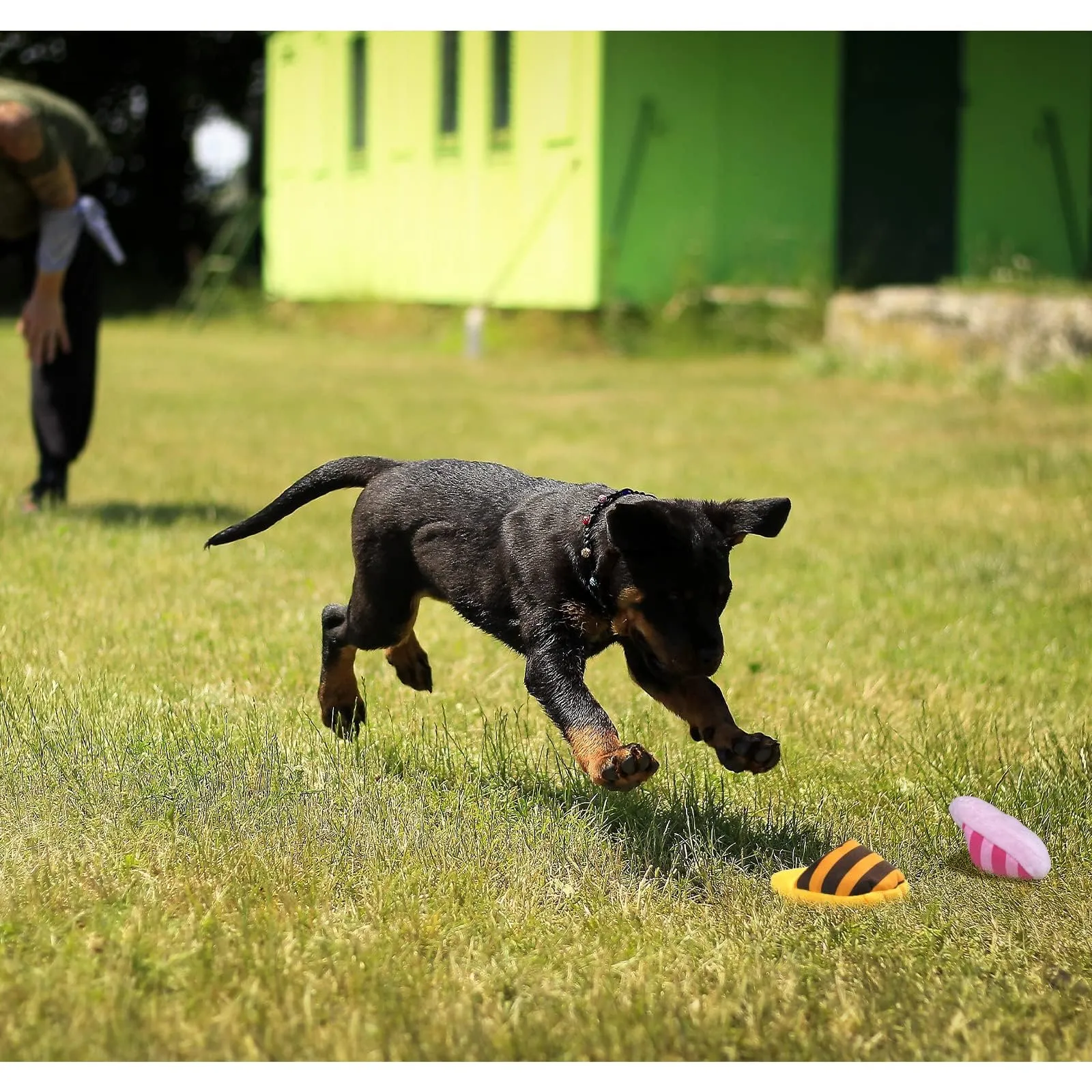 FuninCrea Gioco Interattivo per Cani a Forma di Pantofola con Suono Squittante per Pulizia dei Denti - immagine 6