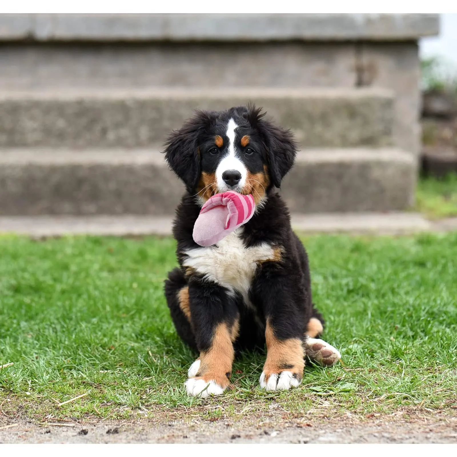 FuninCrea Gioco Interattivo per Cani a Forma di Pantofola con Suono Squittante per Pulizia dei Denti - immagine 7