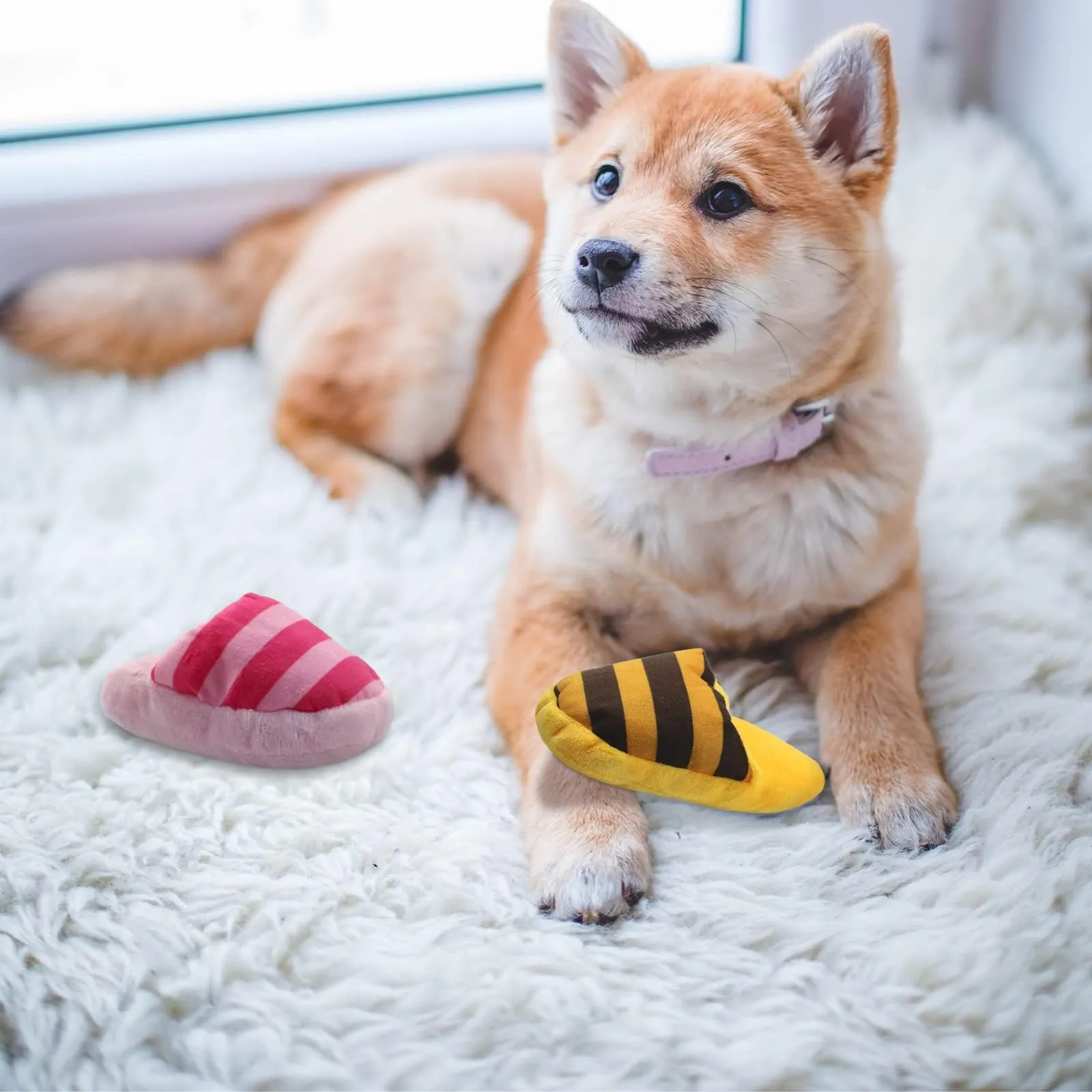 FuninCrea Gioco Interattivo per Cani a Forma di Pantofola con Suono Squittante per Pulizia dei Denti - immagine 8