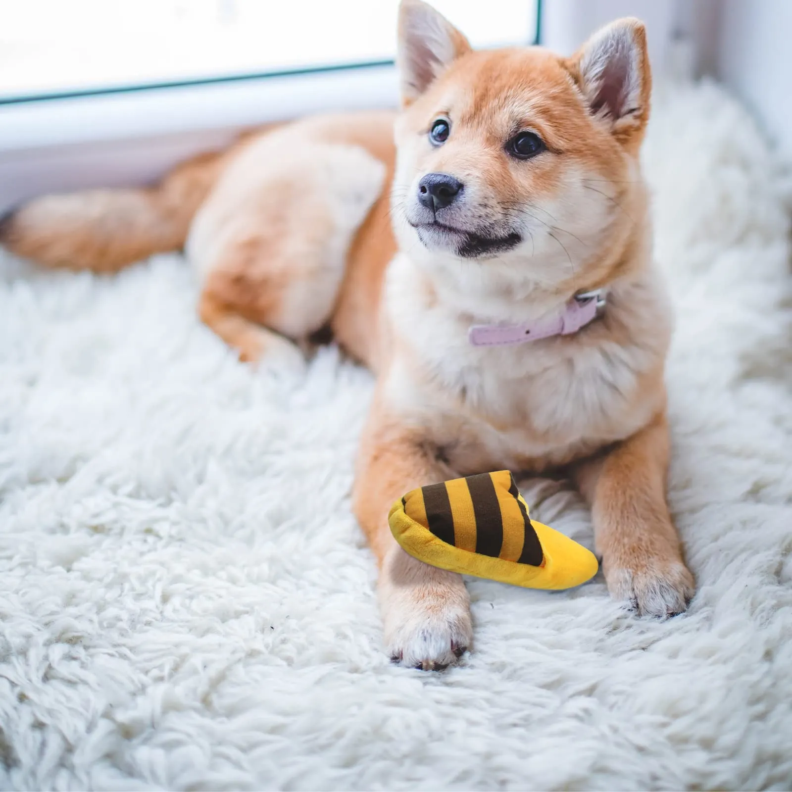 FuninCrea Giocattolo di Peluche Pantofole per Cani, Interattivo per Pulizia Denti e Anti-Noia - immagine 7