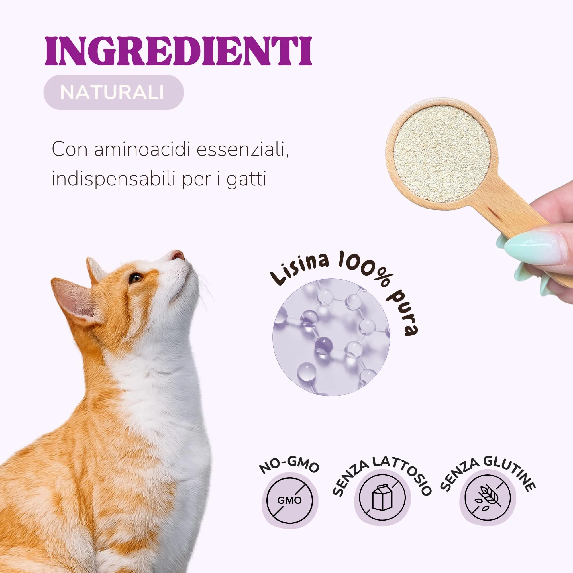 Lamina Care Lisina per Gatti in Polvere 100% Pura - Integratore per Herpes Felino, Sistema Immunitario e Vie Respiratorie - immagine 3