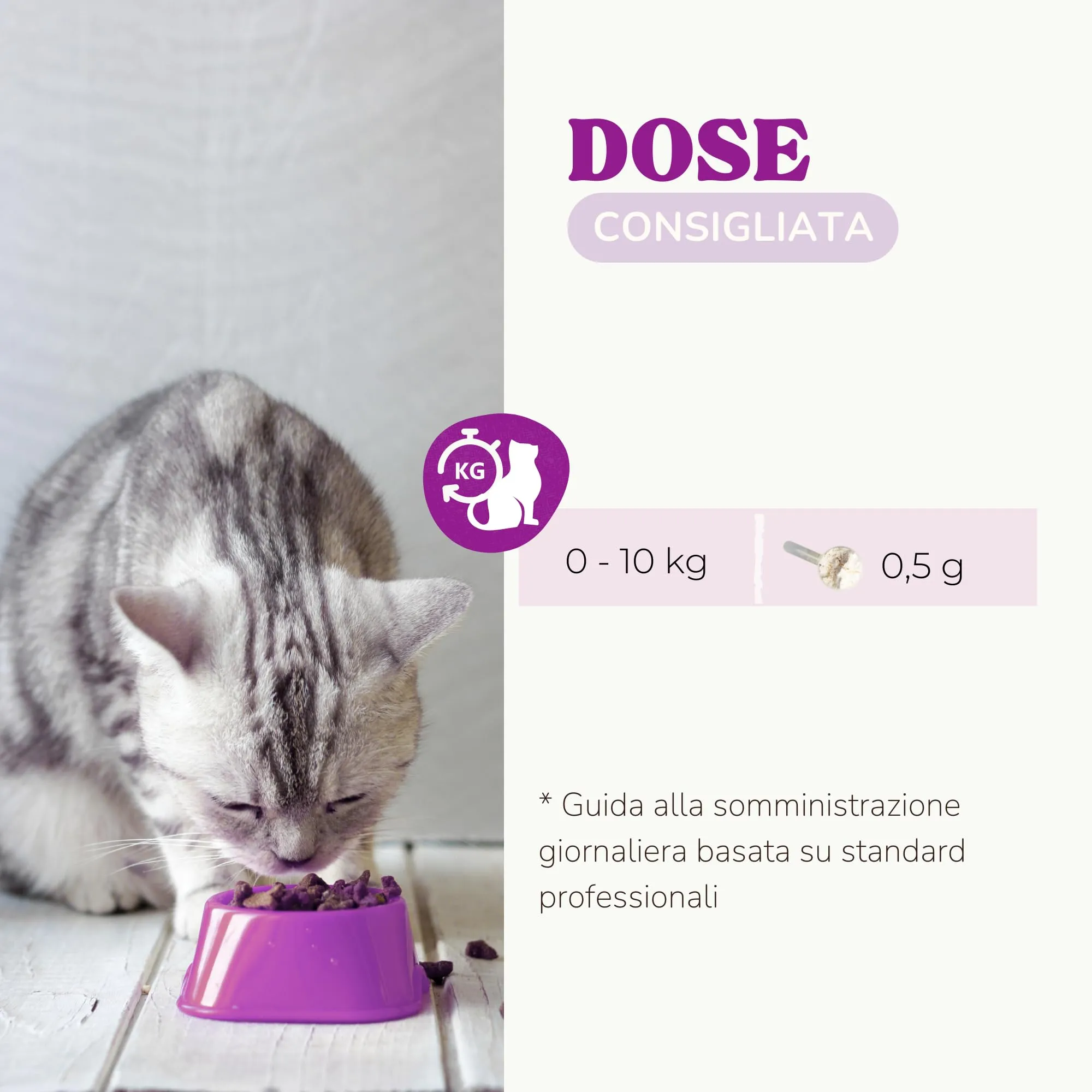 Lamina Care Lisina per Gatti in Polvere 100% Pura - Integratore per Herpes Felino, Sistema Immunitario e Vie Respiratorie - immagine 4