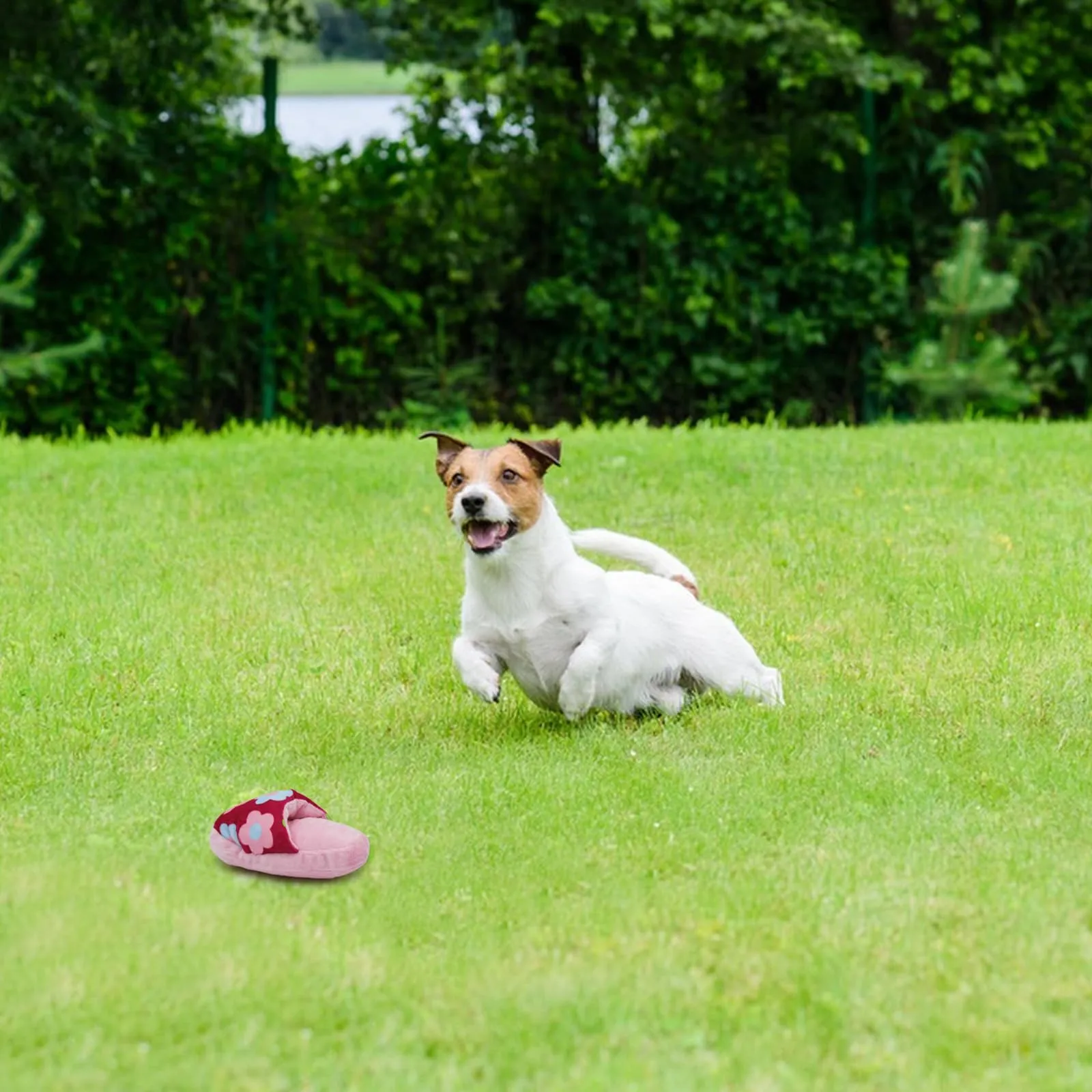 FuninCrea Giocattolo in peluche per cani e cuccioli di taglia media, a forma di pantofolini, Fiori - immagine 7