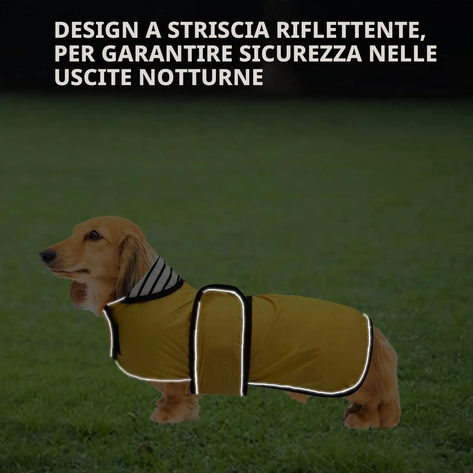 Geyecete Cappotto Impermeabile per Bassotti e Cani di Piccola-Media Taglia, Giacca Riflettente con Cintura Regolabile e Foro per Pettorina, Giallo, M - immagine 4