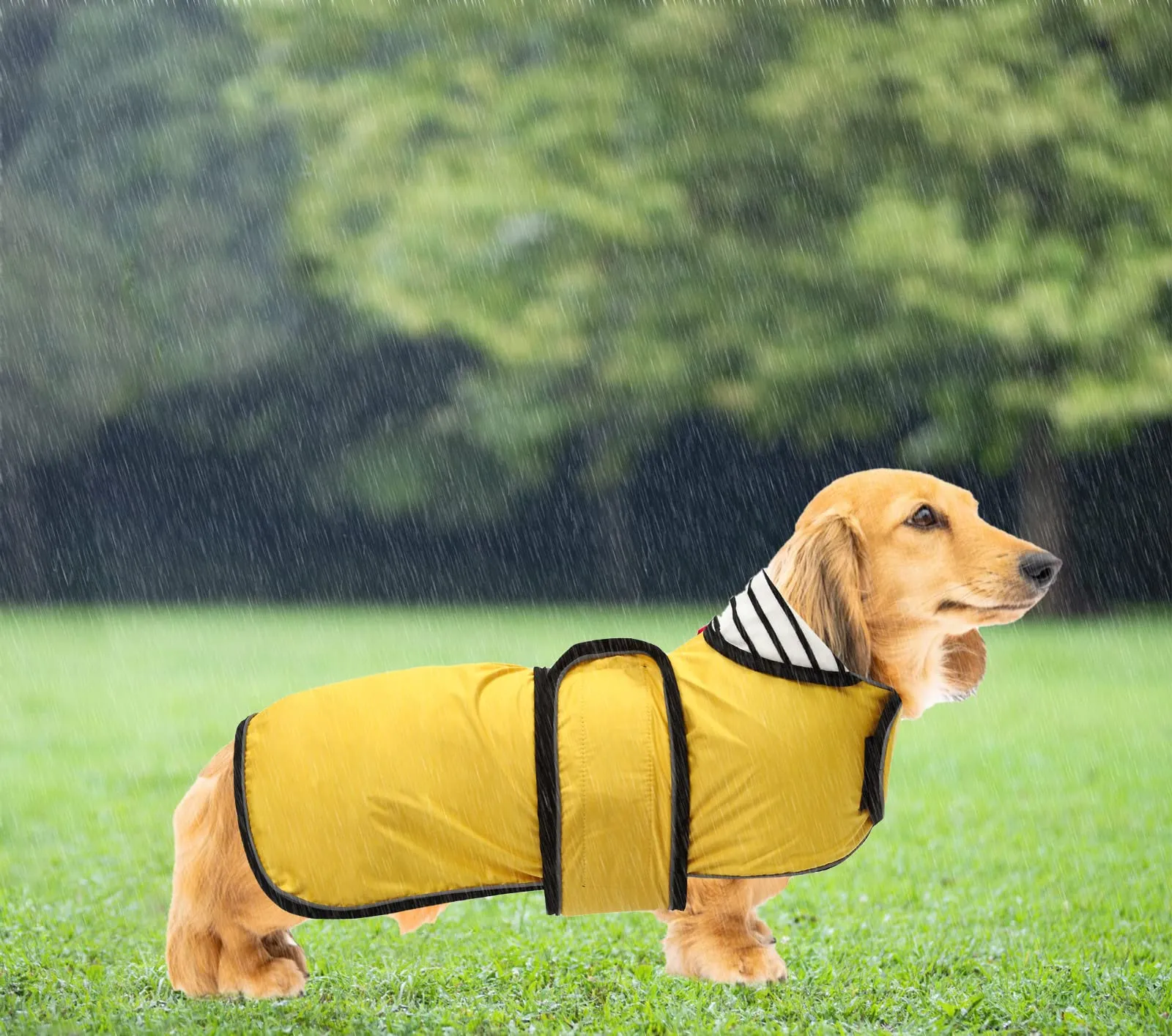 Geyecete Cappotto Impermeabile per Bassotti e Cani di Piccola-Media Taglia, Giacca Riflettente con Cintura Regolabile e Foro per Pettorina, Giallo, M - immagine 5