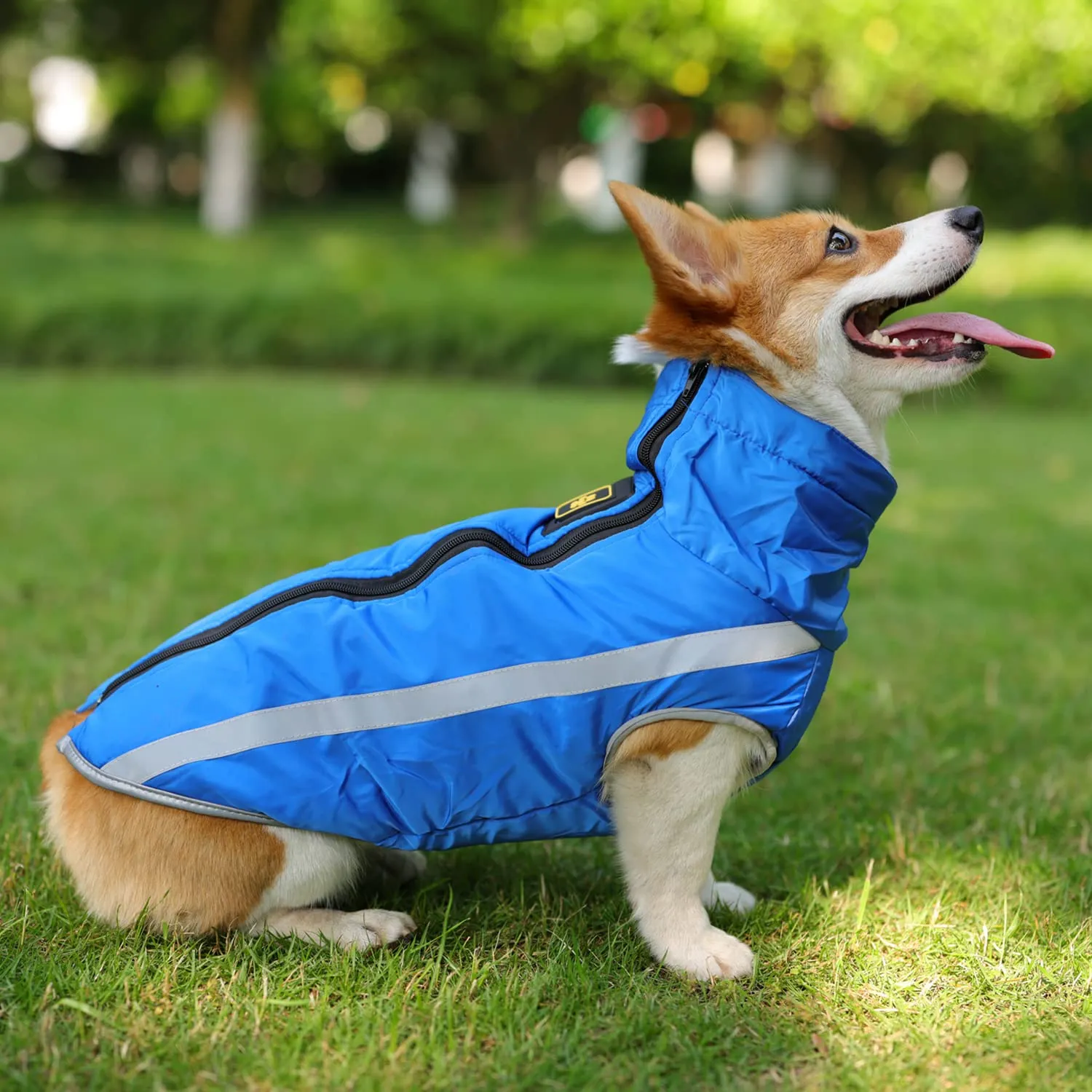 FEimaX Cappotto Invernale per Cani, Giacca Impermeabile, Antivento e Riflettente con Foro per Imbracatura, Taglia XL, Blu - immagine 6