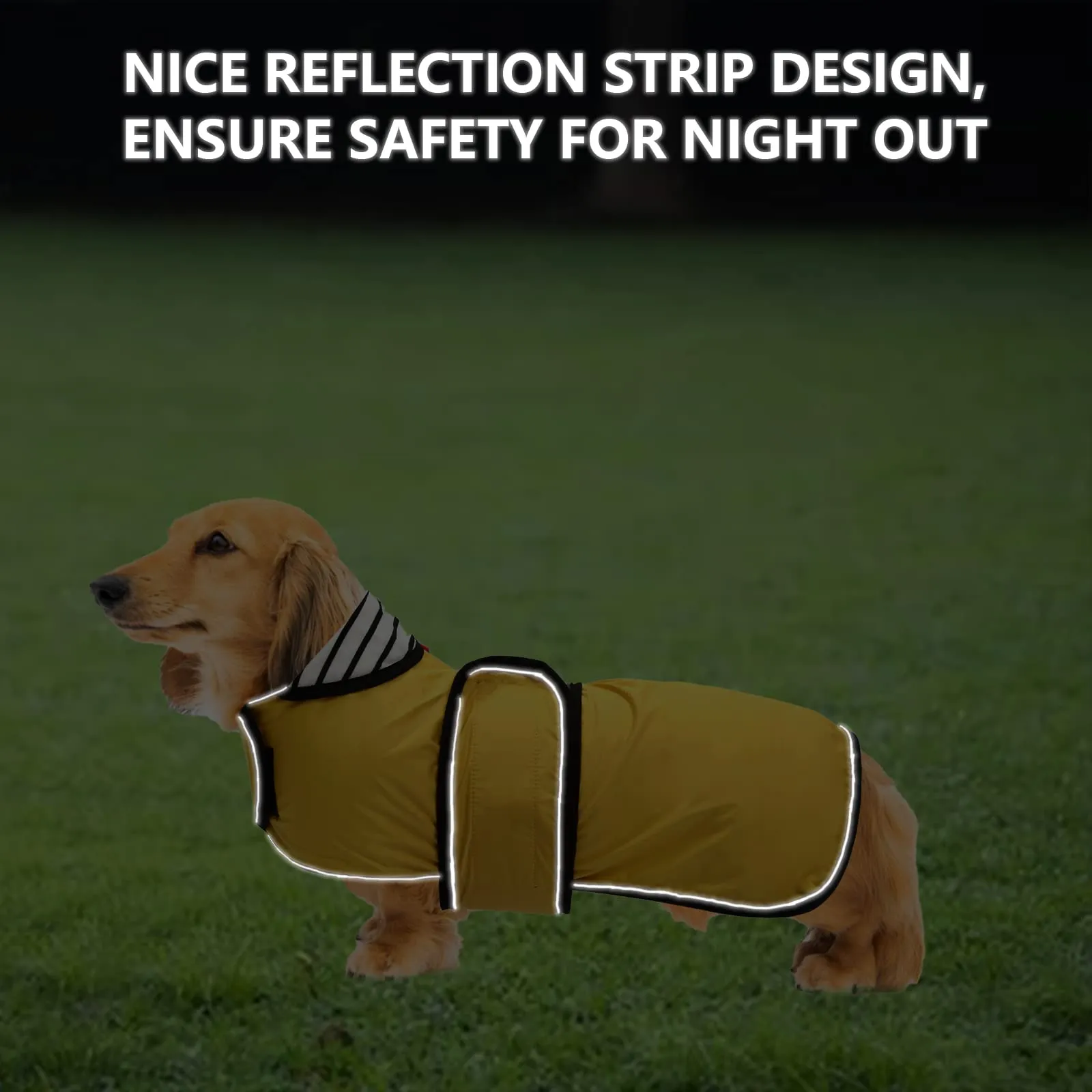 Geyecete Cappotto Impermeabile per Cani e Bassotti con Cintura Regolabile e Riflettenti, Giallo, XL - immagine 4