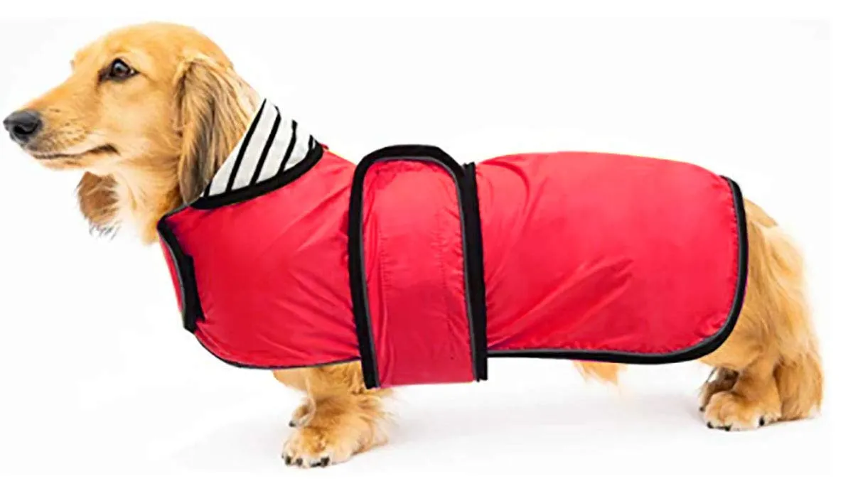 Geyecete Cappotto Impermeabile per Bassotti e Cani di Piccola-Media Taglia, Giacca Riflettente con Cintura Regolabile, Rosso, XL - immagine 1