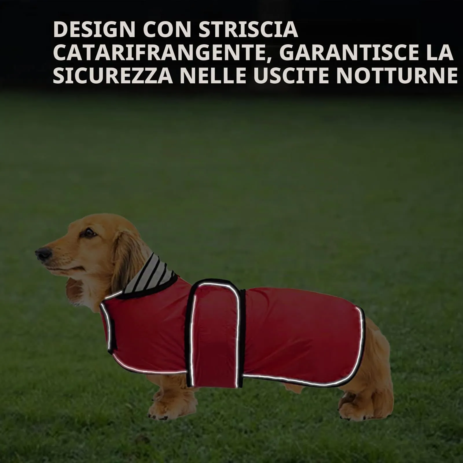 Geyecete Cappotto Impermeabile per Cani e Bassotti con Cintura Regolabile e Riflettente, Rosso, L - immagine 4