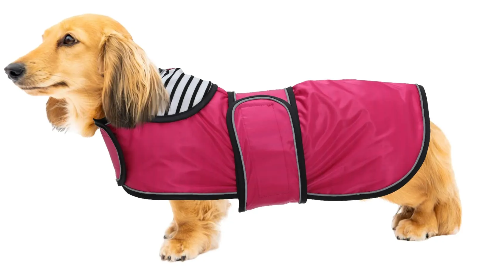 Geyecete Cappotto Impermeabile per Bassotti e Cani Piccoli e Medi con Cintura Regolabile e Riflettente, Rosa, XL - immagine 1