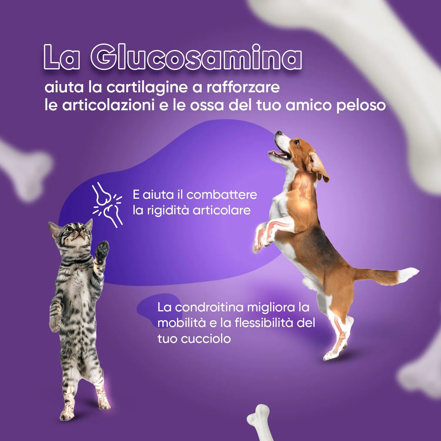 animigo Integratore Articolazioni per Cane e Gatto con Glucosamina, Condroitina, Vitamina C, Curcuma, Zenzero e Rosa Canina, 180 Capsule - immagine 2