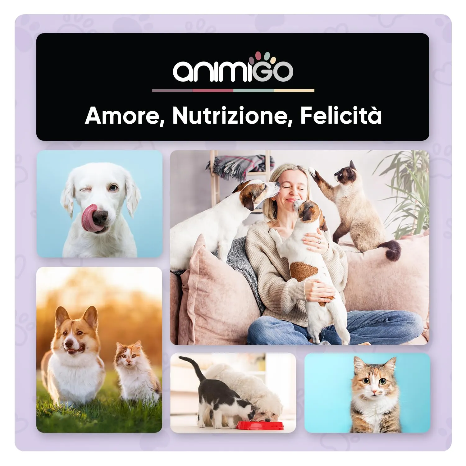animigo Integratore Articolazioni per Cane e Gatto con Glucosamina, Condroitina, Vitamina C, Curcuma, Zenzero e Rosa Canina, 180 Capsule - immagine 8