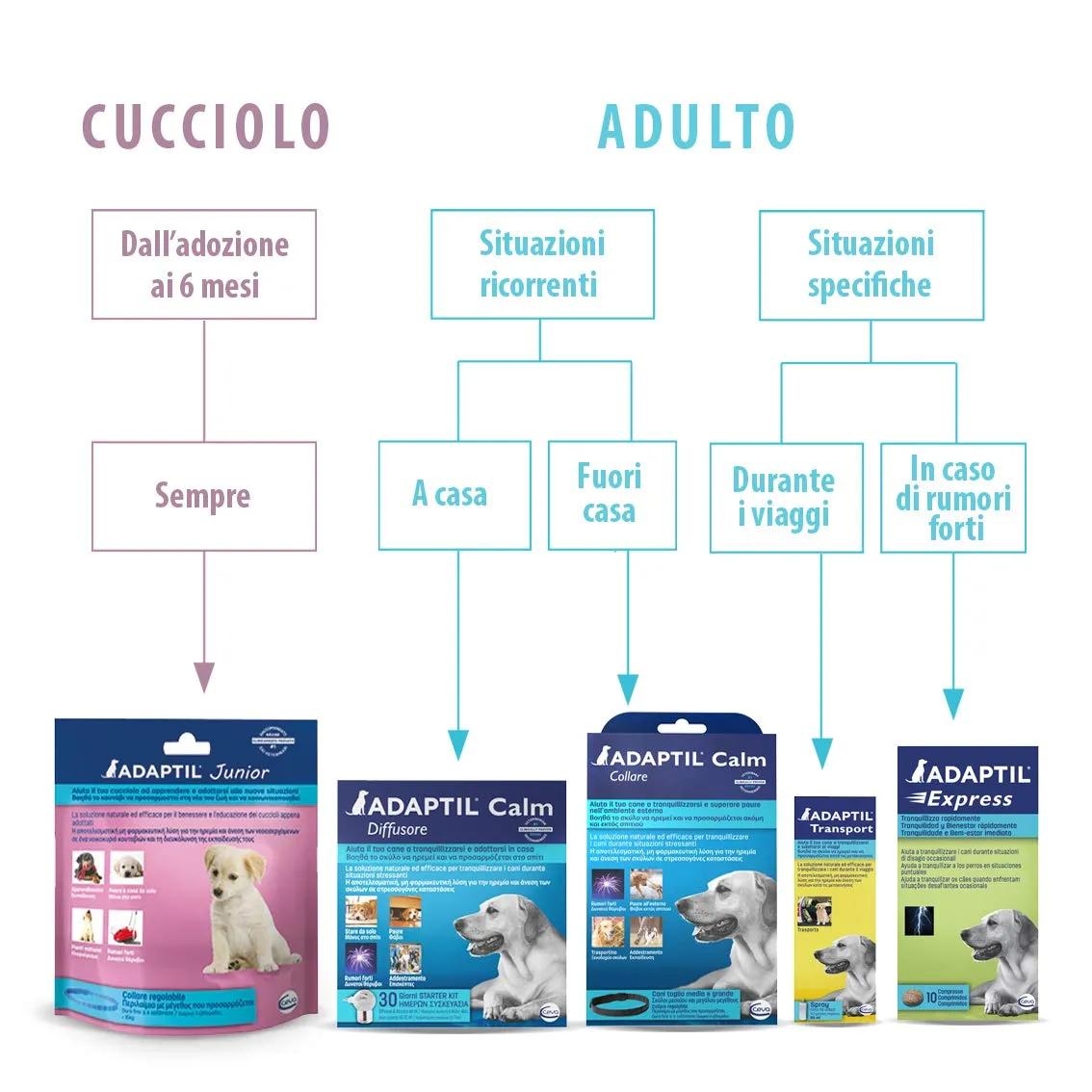 Adaptil Calm Ricarica 48 ml - immagine 7