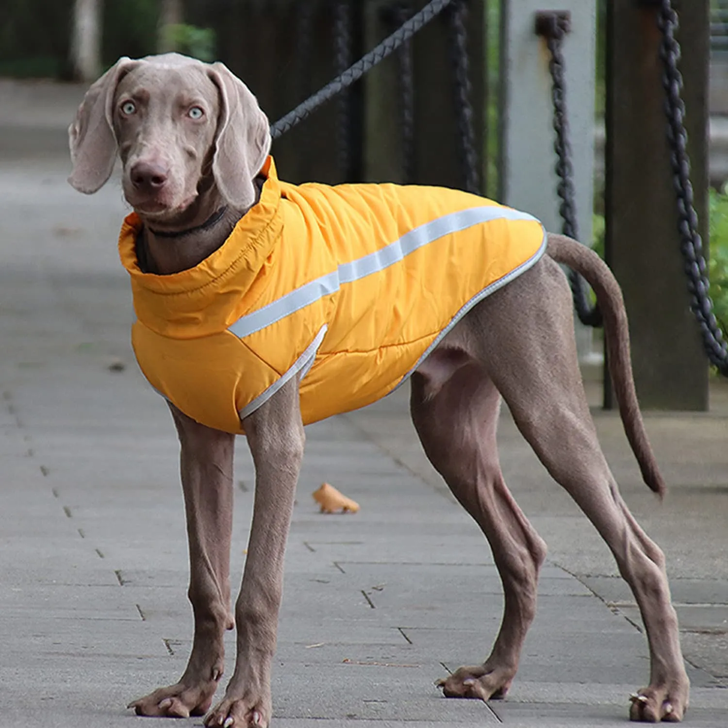 FEimaX Cappotto Invernale per Cani, Giacca Impermeabile, Antivento e Riflettente in Pile con Foro per Imbracatura - immagine 6