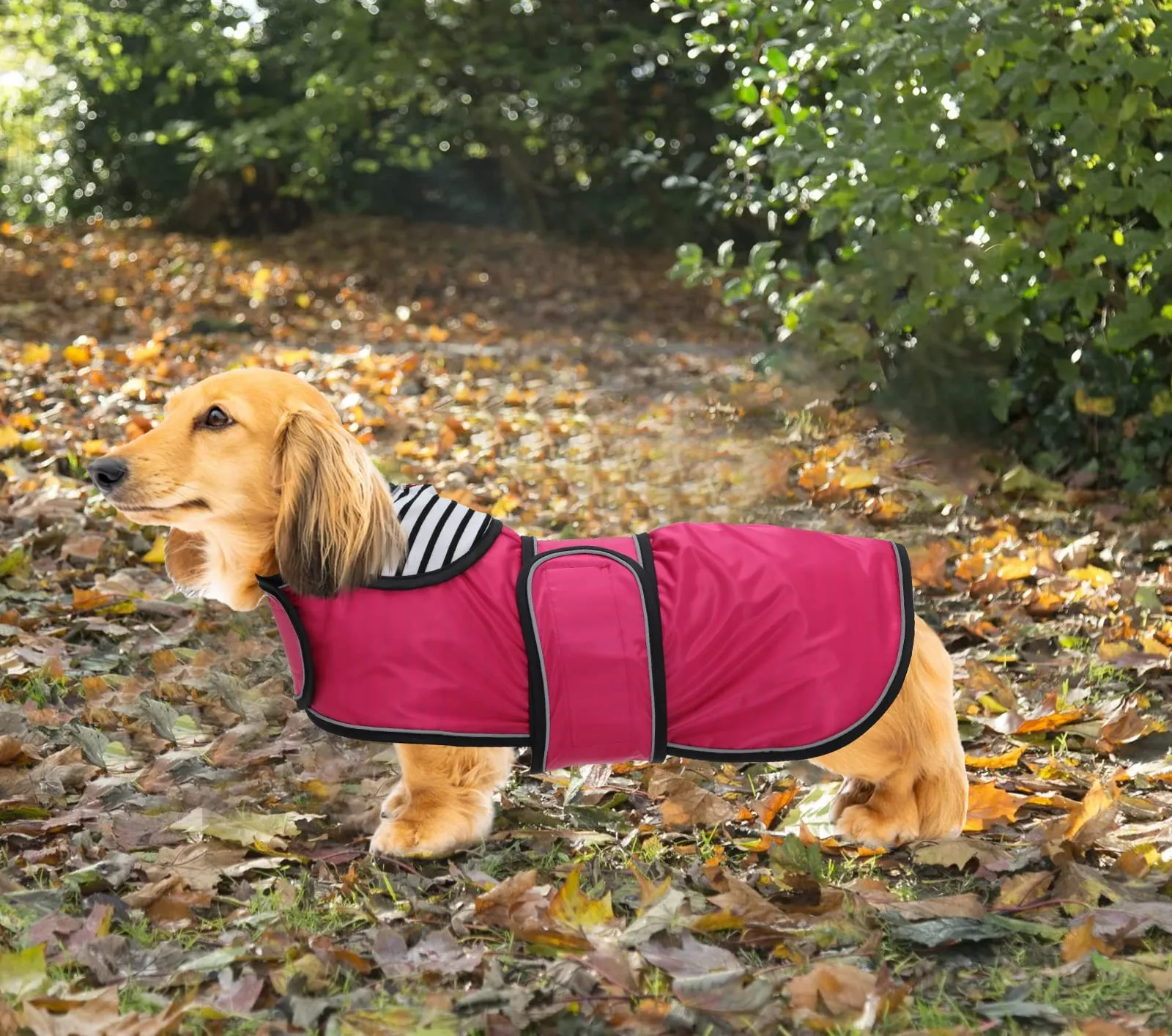 Geyecete Cappotto Impermeabile per Bassotti e Cani di Taglia Piccola e Media, Rosa, XS - immagine 7