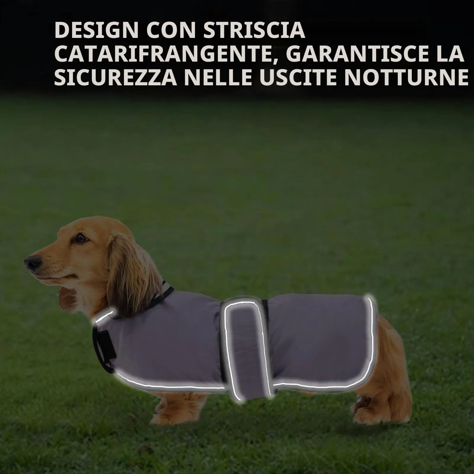 Geyecete Cappotto Impermeabile per Bassotti e Cani di Piccola e Media Taglia, Giacca Riflettente con Cintura Regolabile, Viola, M - immagine 4