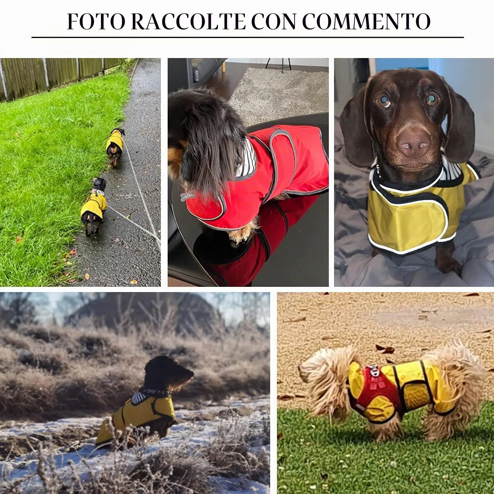 Geyecete Cappotto Impermeabile per Bassotti e Cani Piccoli e Medi, Giallo Quadri, XS - immagine 7