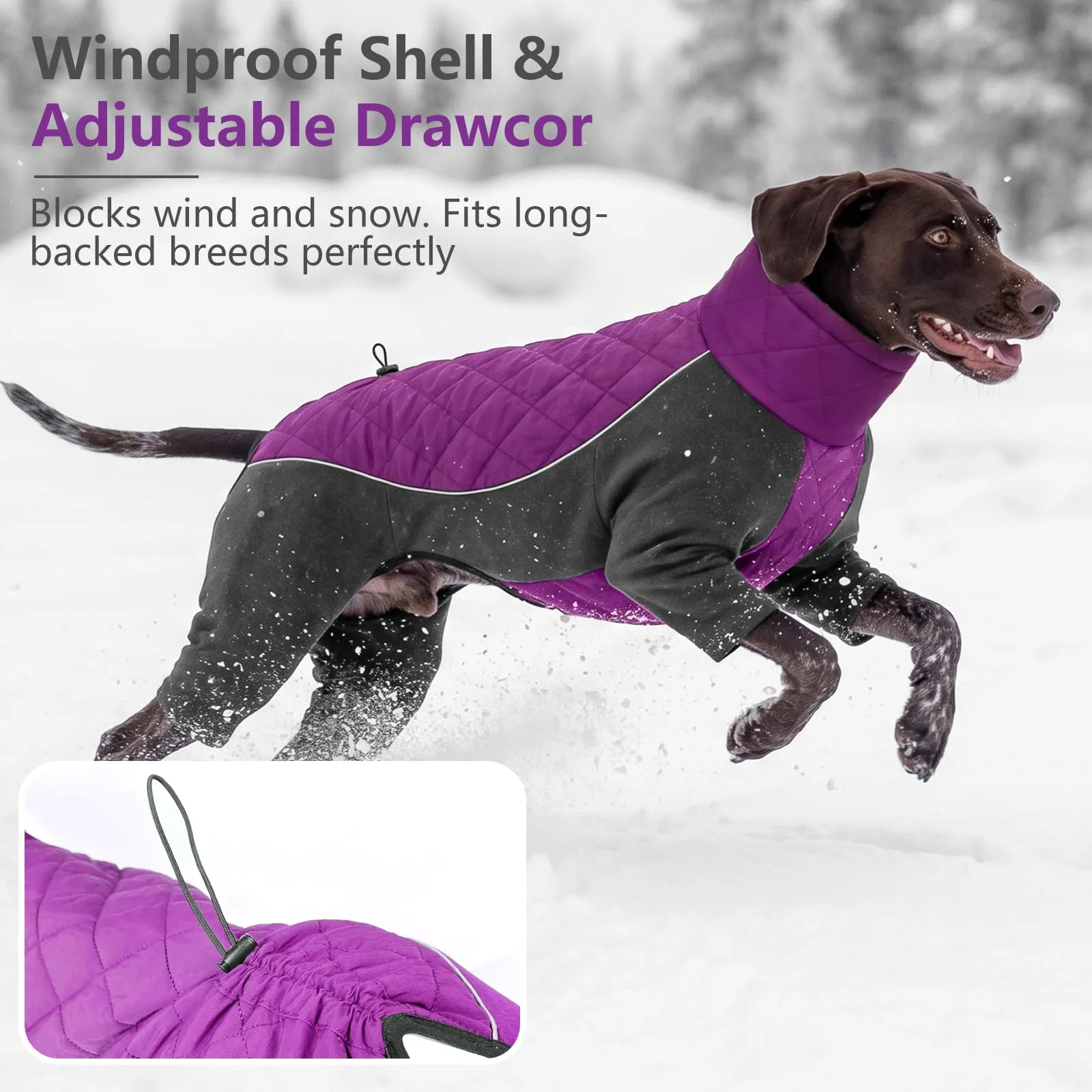 HEYWEAN Manteau pour Chien à Pattes Coupe-Vent Réfléchissant Ajustable Hiver, Rosa, XS - immagine 5