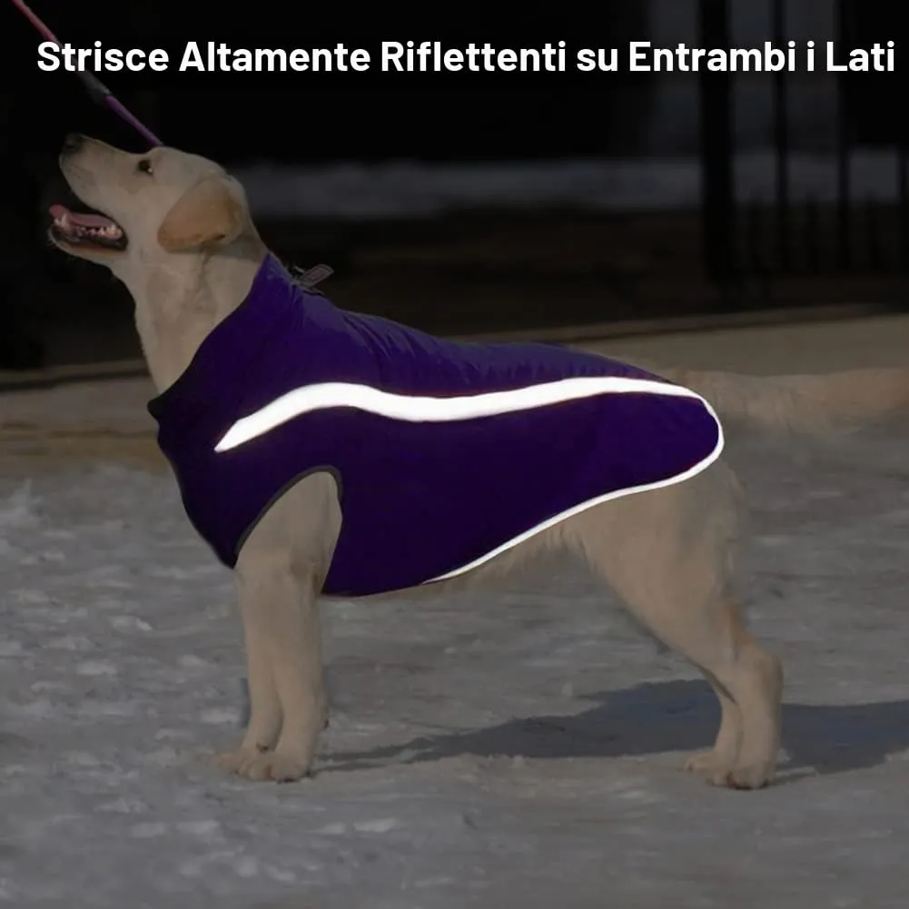FEimaX Cappotto Invernale per Cani Impermeabile, Antivento e Riflettente con Foro per Imbracatura, Viola, XL - immagine 5