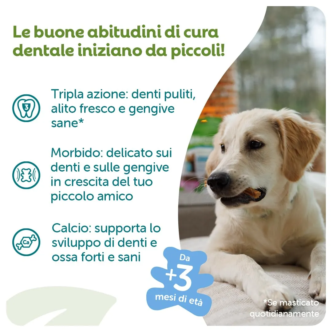 Whimzees Stix per Cuccioli, XS/S, 28 Pezzi - immagine 3