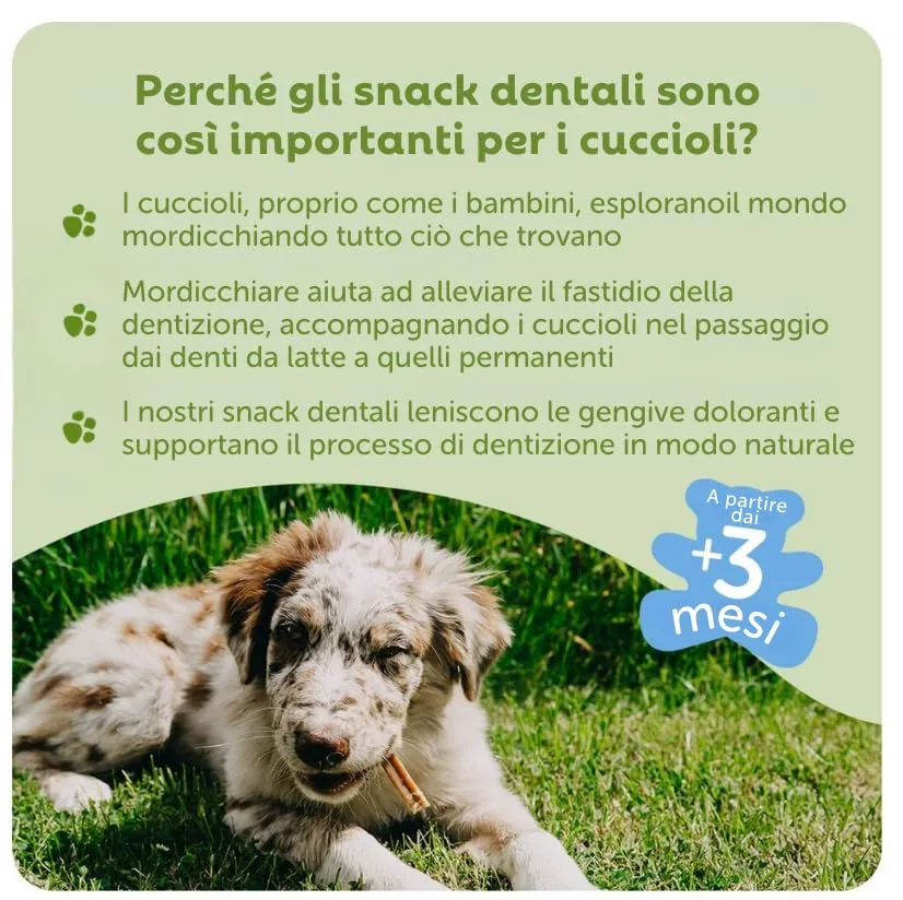 Whimzees Stix per Cuccioli, XS/S, 28 Pezzi - immagine 4