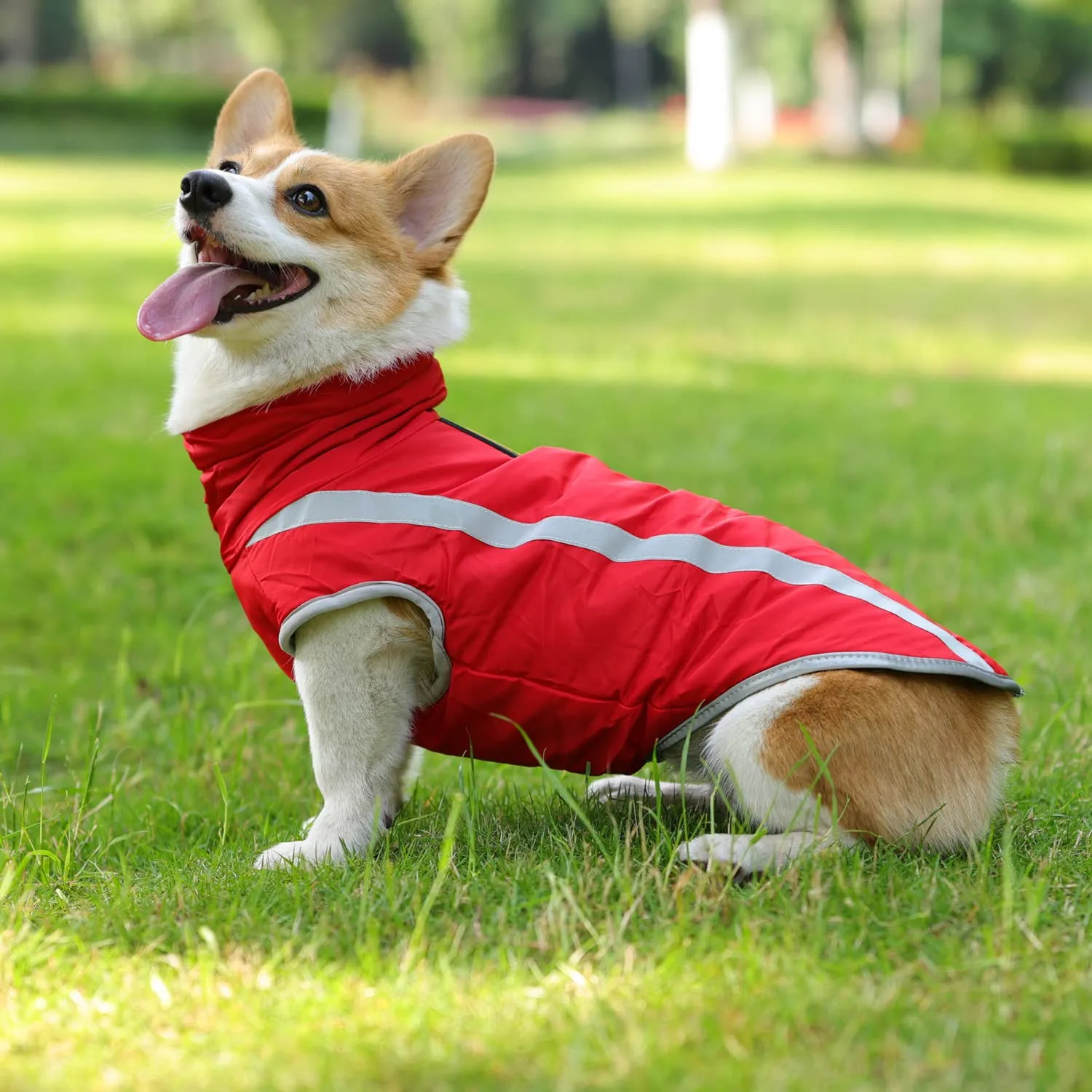 FEimaX Cappotto Invernale per Cani, Giacca Impermeabile, Antivento e Riflettente con Foro per Imbracatura, Taglia XL, Rosso - immagine 6