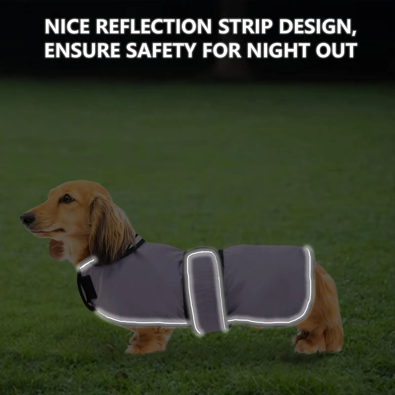 Geyecete Cappotto Impermeabile per Bassotti e Cani di Piccola e Media Taglia, Viola, L - immagine 4