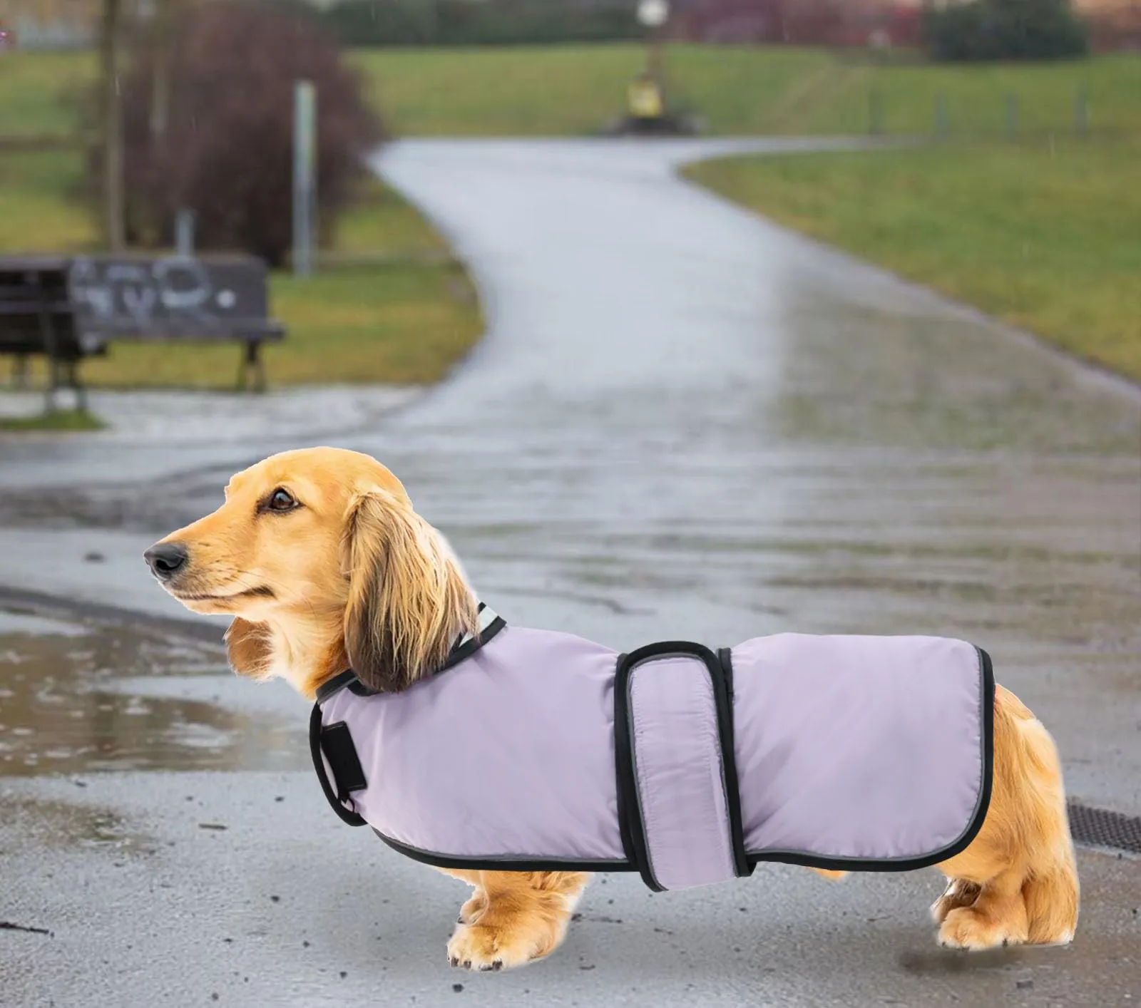 Geyecete Cappotto Impermeabile per Bassotti e Cani di Piccola e Media Taglia, Viola, L - immagine 7