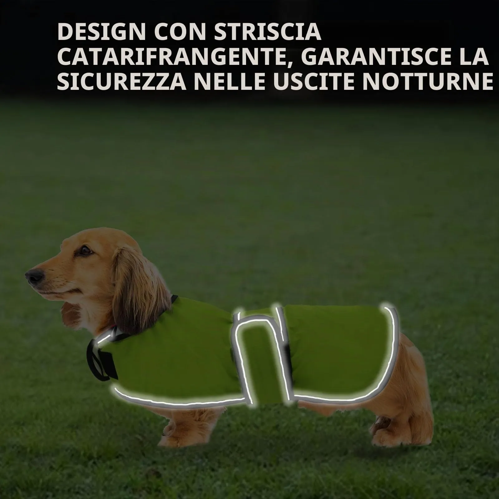 Geyecete Cappotto Impermeabile per Bassotti e Cani di Piccola e Media Taglia con Cintura Regolabile e Dettagli Riflettenti, Verde, S - immagine 4