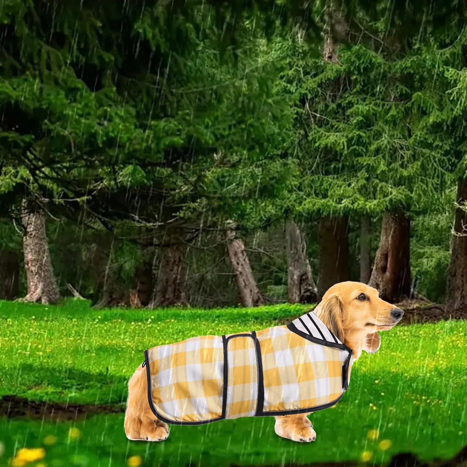Geyecete Cappotto Impermeabile per Bassotti e Cani di Taglia Piccola e Media, Giallo Quadri - L - immagine 6