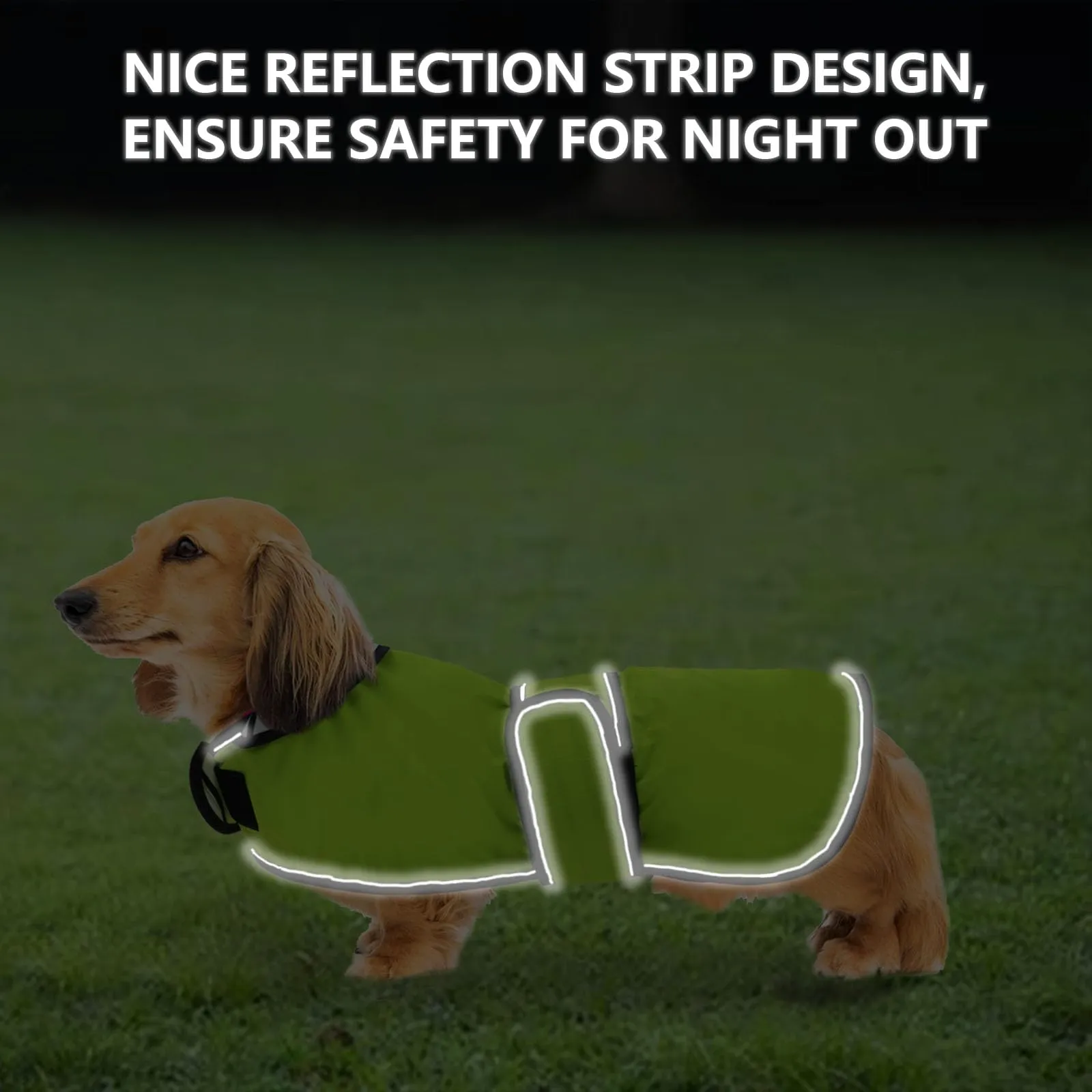 Geyecete Cappotto Impermeabile per Cani e Bassotti con Cintura Regolabile e Dettagli Riflettenti, Verde, XS - immagine 4