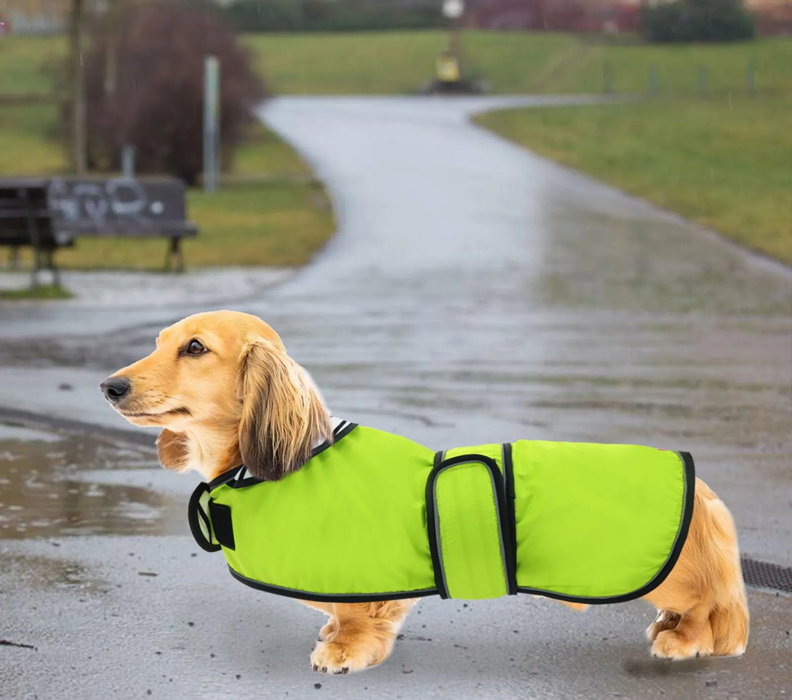 Geyecete Cappotto Impermeabile per Cani e Bassotti con Cintura Regolabile e Dettagli Riflettenti, Verde, XS - immagine 7