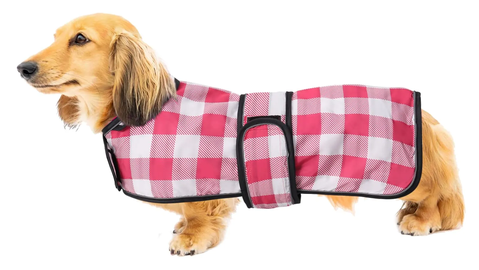 Geyecete Cappotto Impermeabile per Bassotti e Cani Piccoli e Medi, con Cintura Regolabile e Riflettente, Rosa Quadri - L - immagine 1