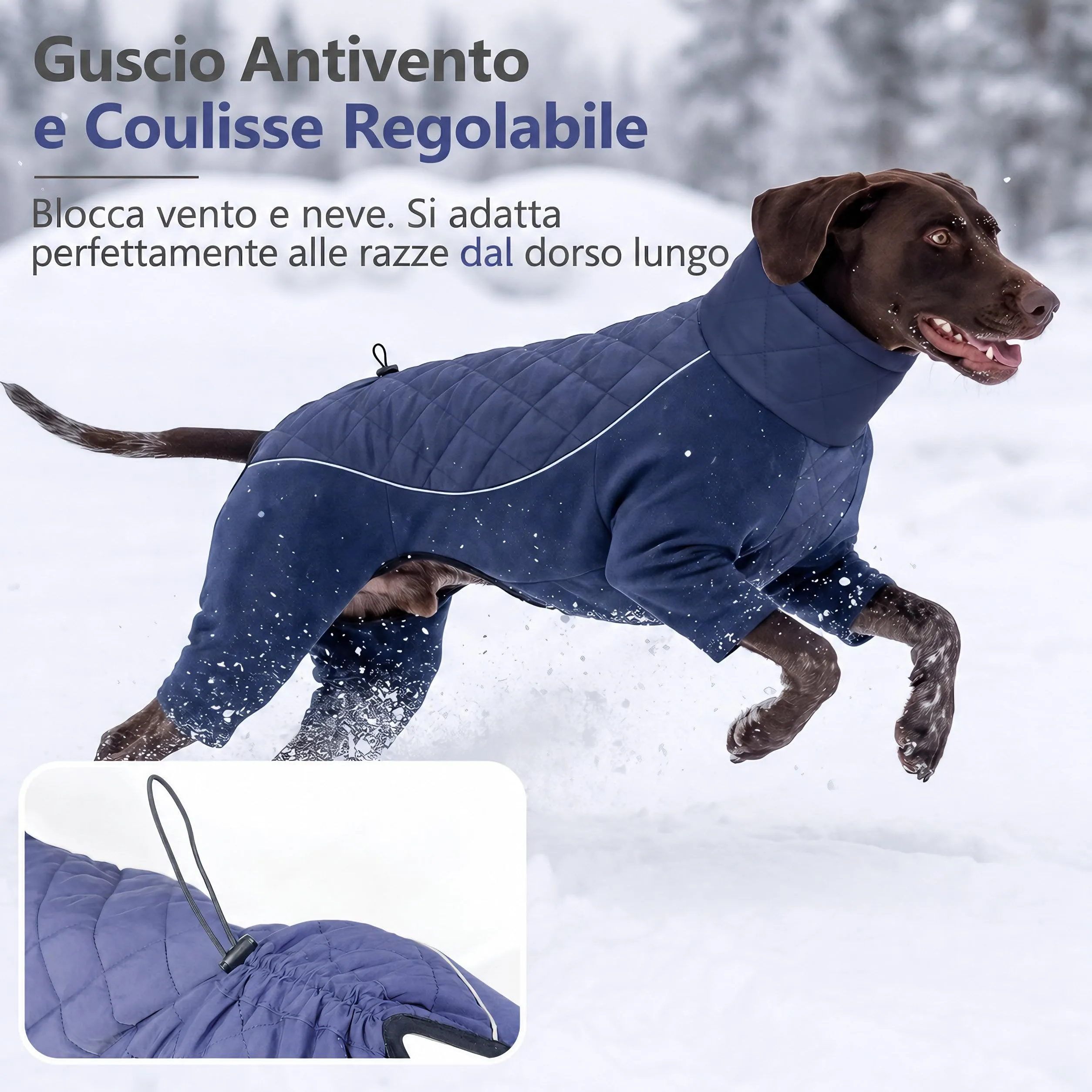 HEYWEAN Manteau Chien à Pattes Coupe-Vent Réfléchissant Ajustable Hiver, XL, Bleu - immagine 5