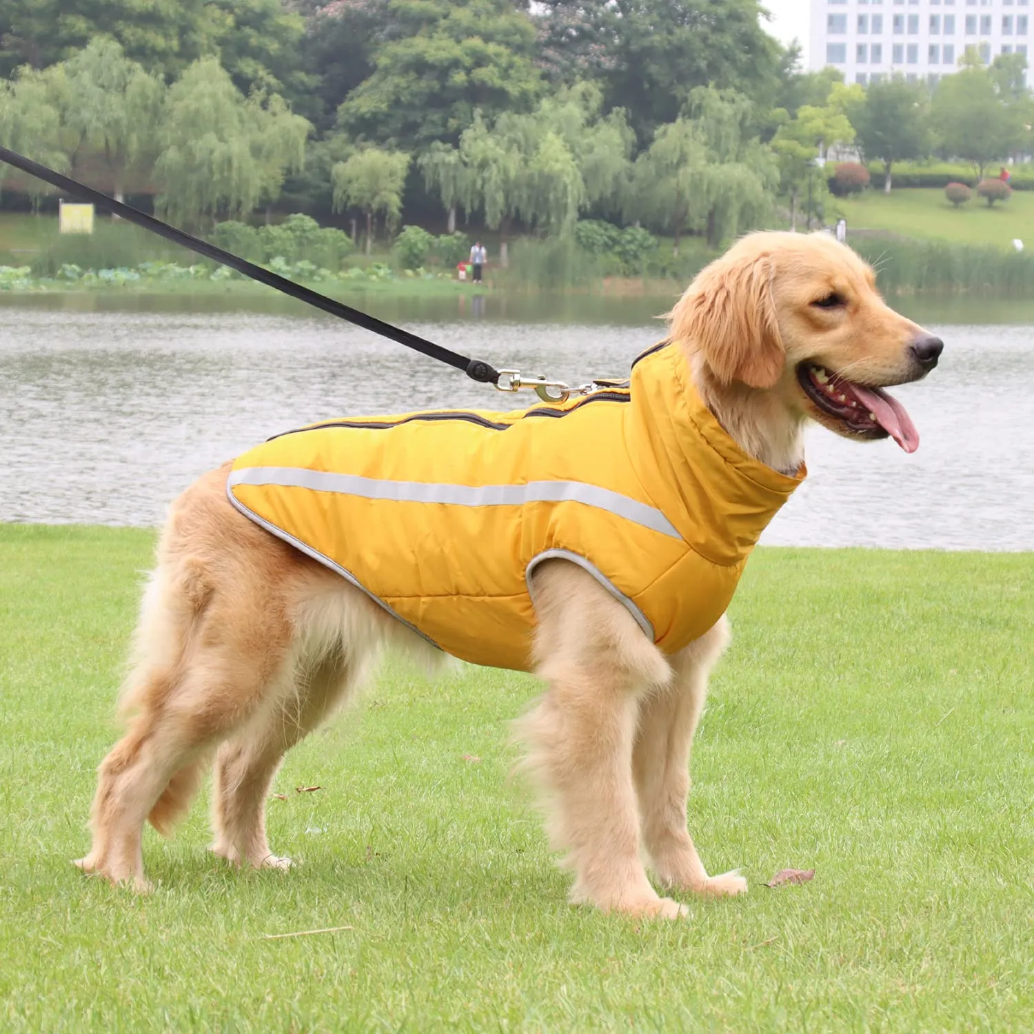 FEimaX Cappotto Invernale per Cani, Giacca Impermeabile Antivento e Riflettente in Pile con Foro per Imbracatura, Giallo, 3XL - immagine 6