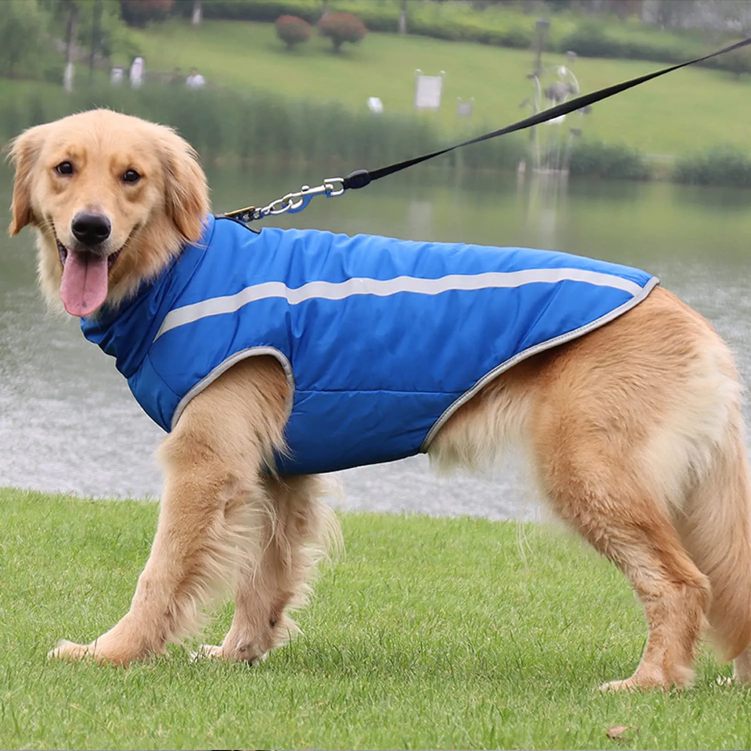 FEimaX Cappotto Invernale per Cani, Giacca Impermeabile Antivento e Riflettente in Pile con Foro per Imbracatura, Blu, 3XL - immagine 6