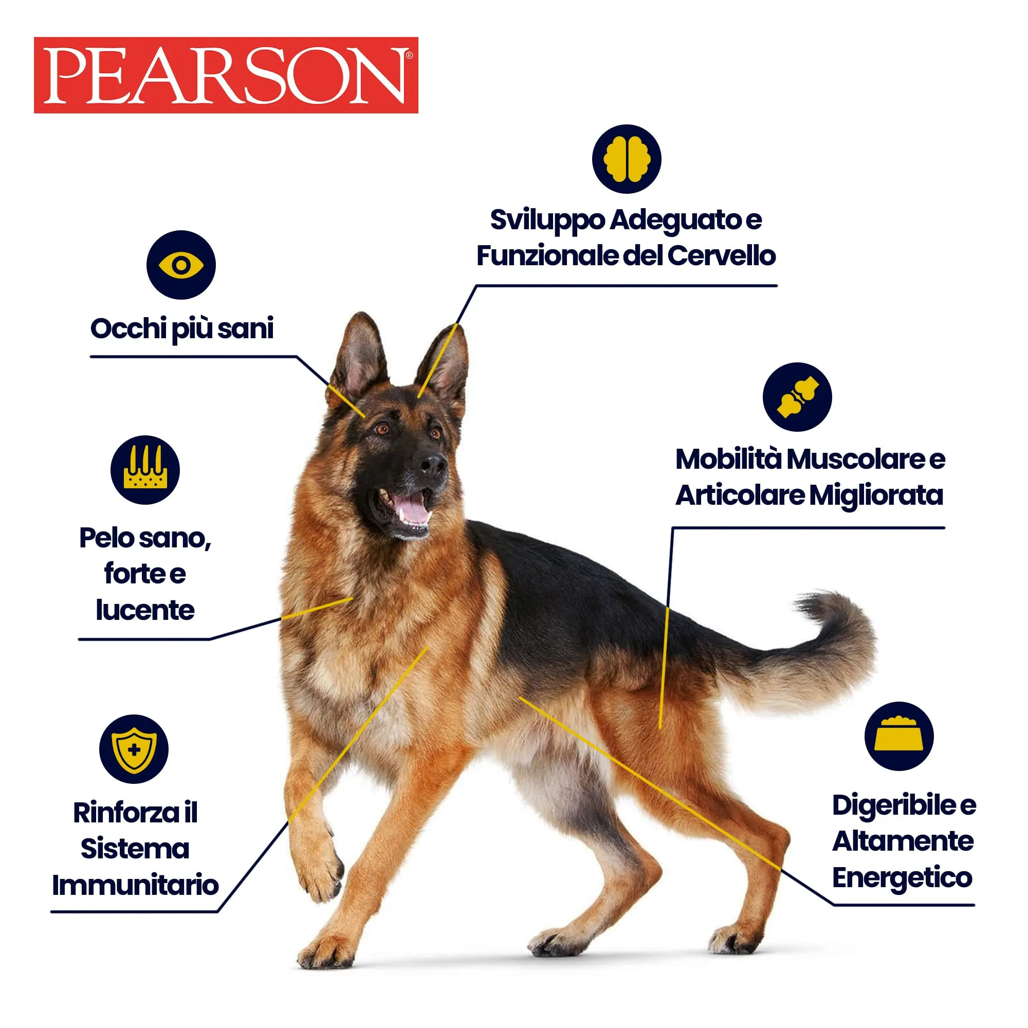 Pearson Purissimo Olio di Fegato di Merluzzo Veterinario per Cani, Gatti e Cavalli (1000 ml) - immagine 4
