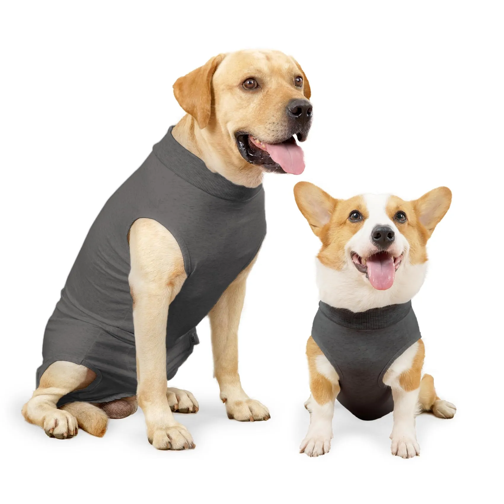 HEYWEAN Tuta Post-Operatoria per Cani Femmine, XL, Grigio - immagine 1