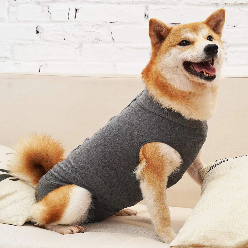 HEYWEAN Tuta Post-Operatoria per Cani Femmine, XL, Grigio - immagine 4