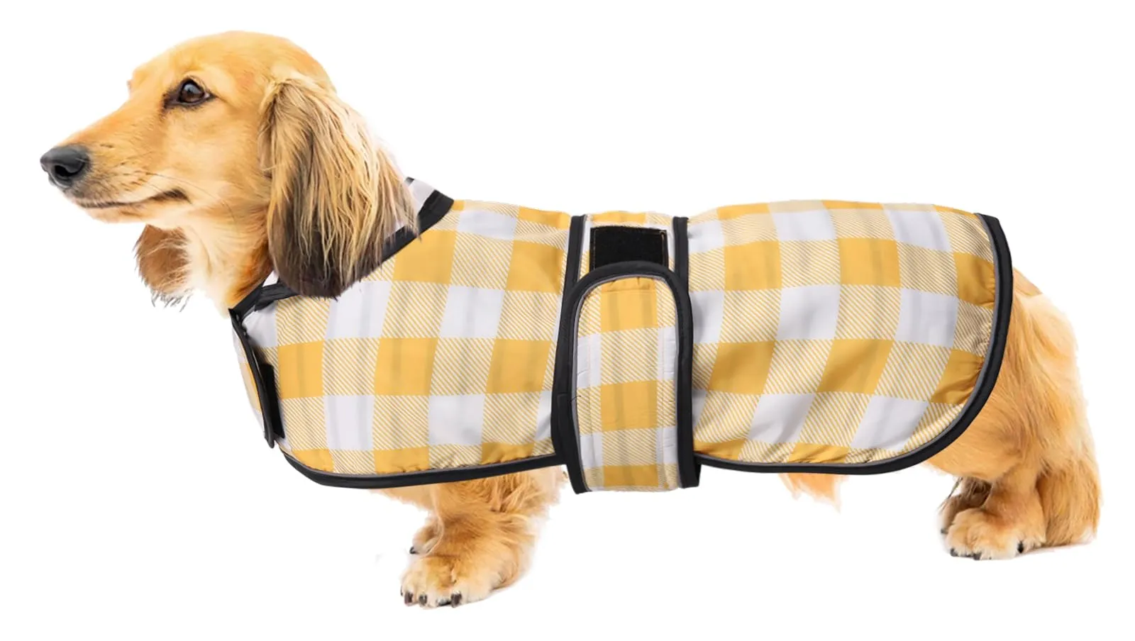 Geyecete Cappotto Impermeabile per Bassotti e Cani Piccoli e Medi, Giacca Riflettente con Cintura Regolabile e Foro per Pettorina, Giallo a Quadri - M - immagine 1