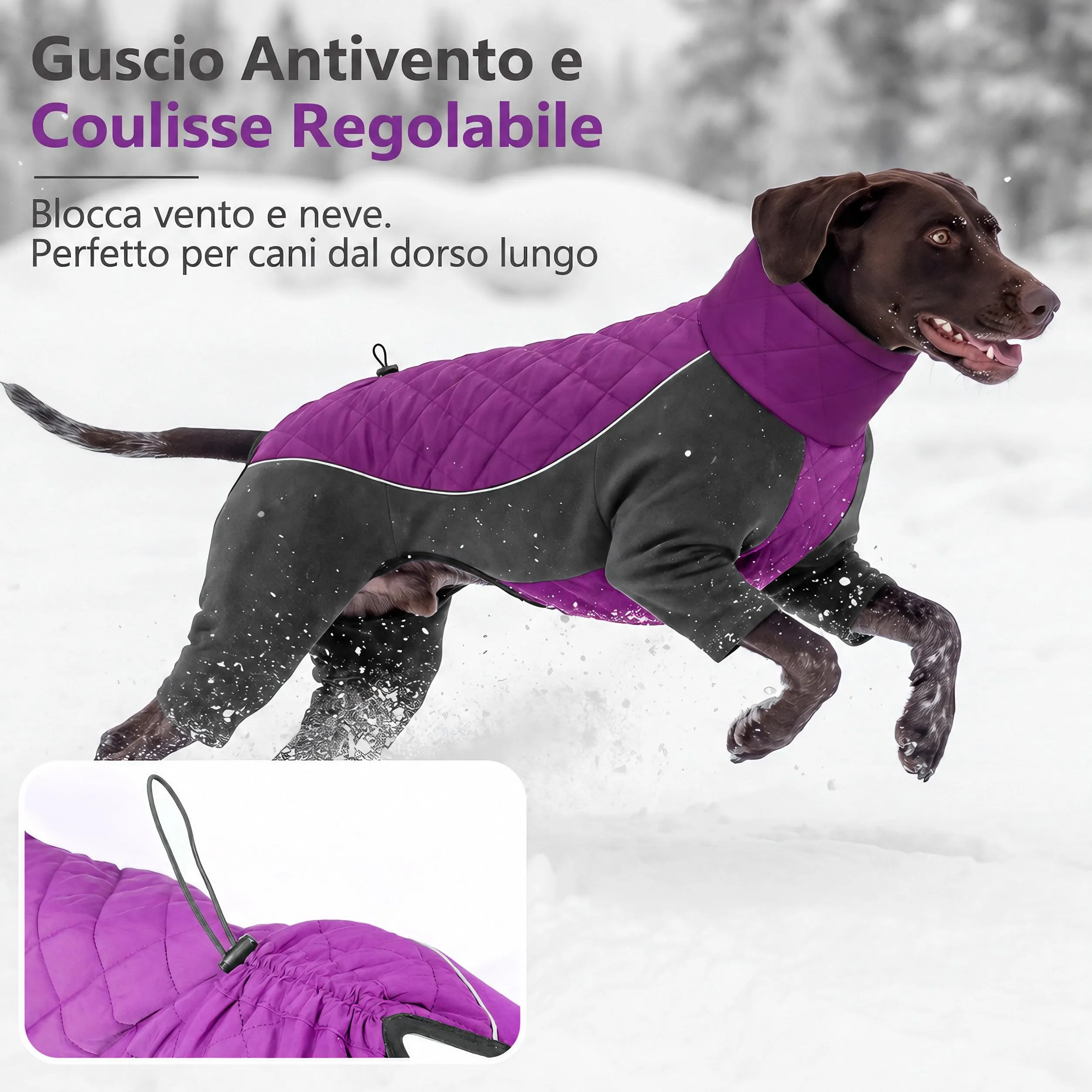 HEYWEAN Manteau Chien à Pattes Coupe-Vent Réfléchissant Ajustable Hiver, XXL, Rosa - immagine 5
