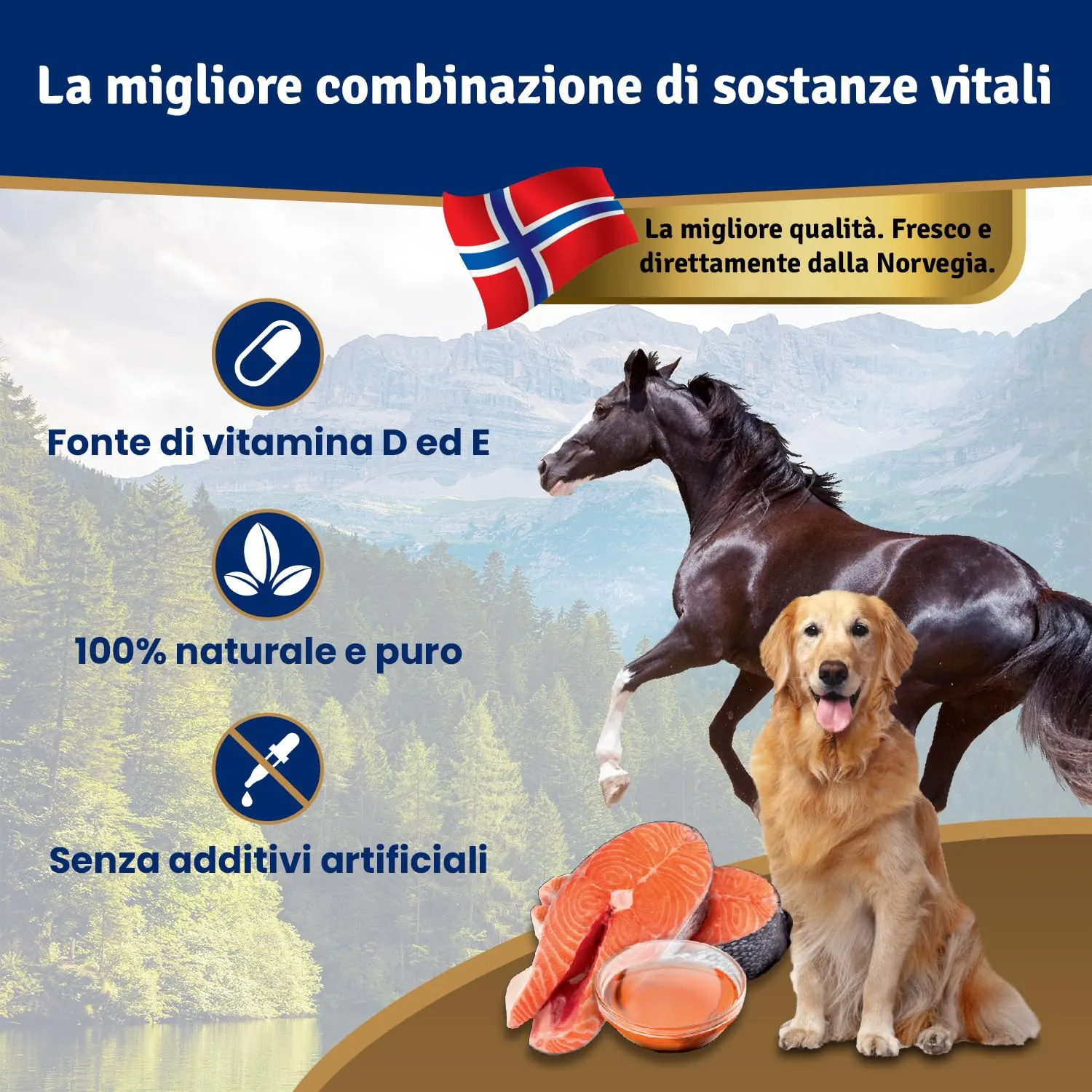 Veddelholzer Salmon Oil for Dogs, 1 Litre - immagine 2