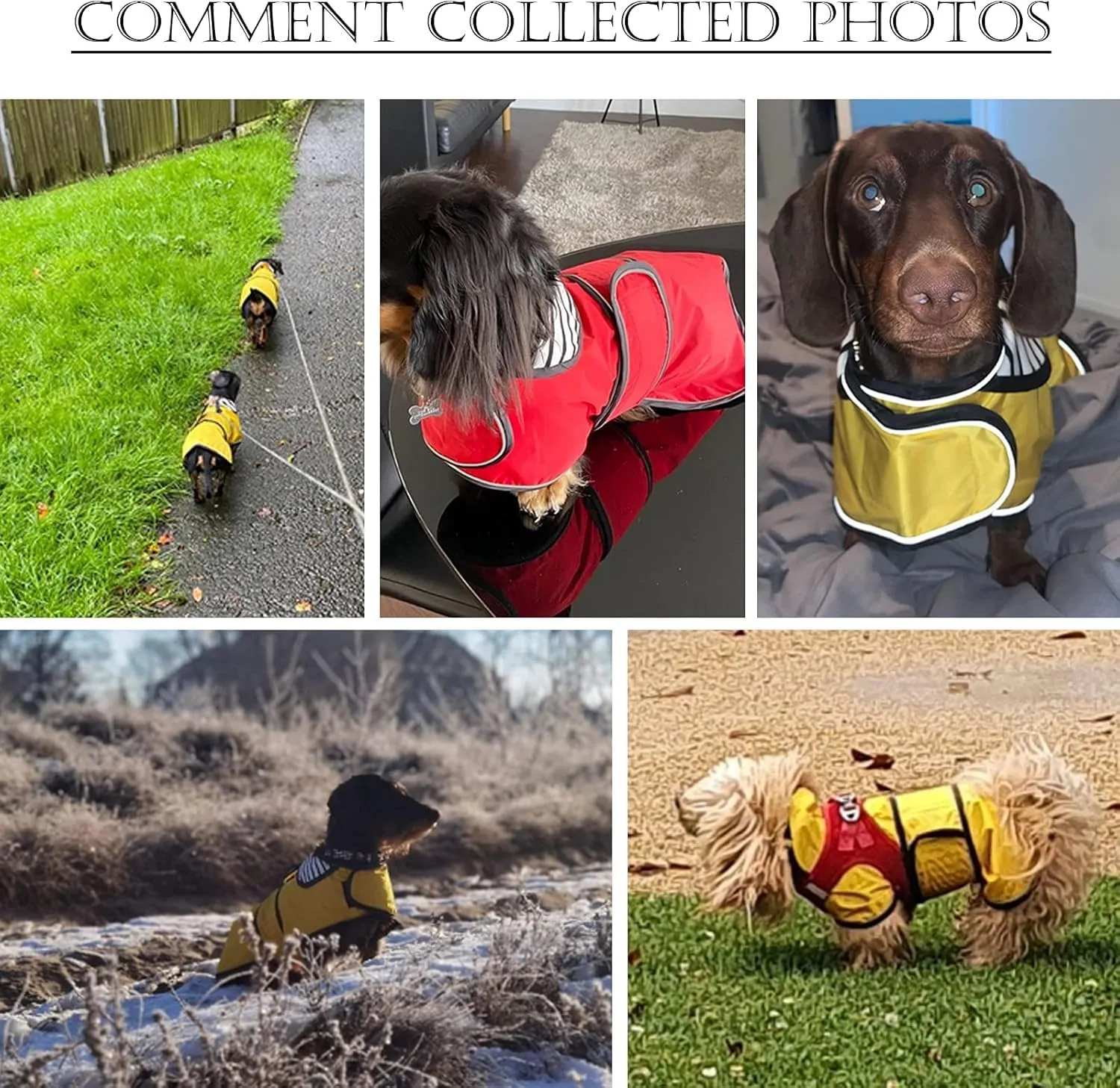 Geyecete Cappotto Impermeabile per Cani Bassotto con Spalline Riflettenti, Giallo a Scacchi, XL - immagine 6