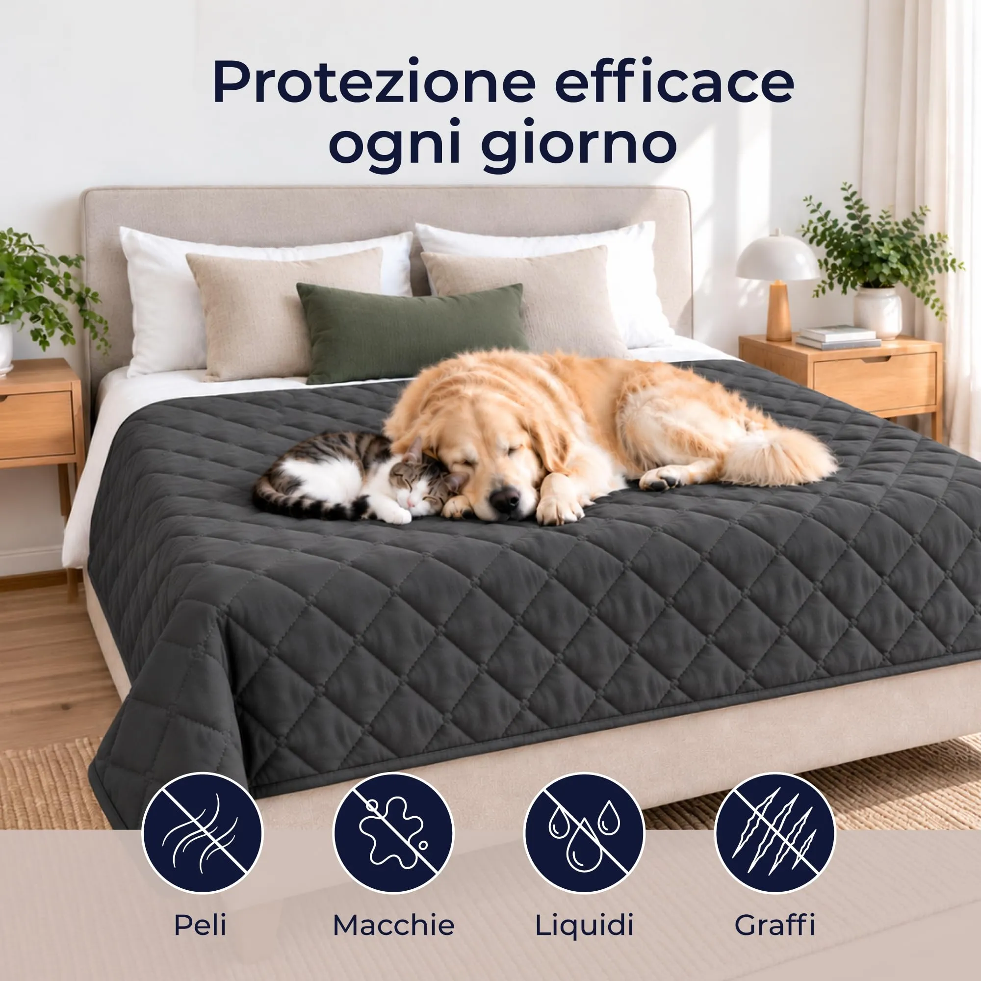 Dreamzie Coperta Impermeabile per Cani, 170x205 cm, Antracite, Copridivano - immagine 2