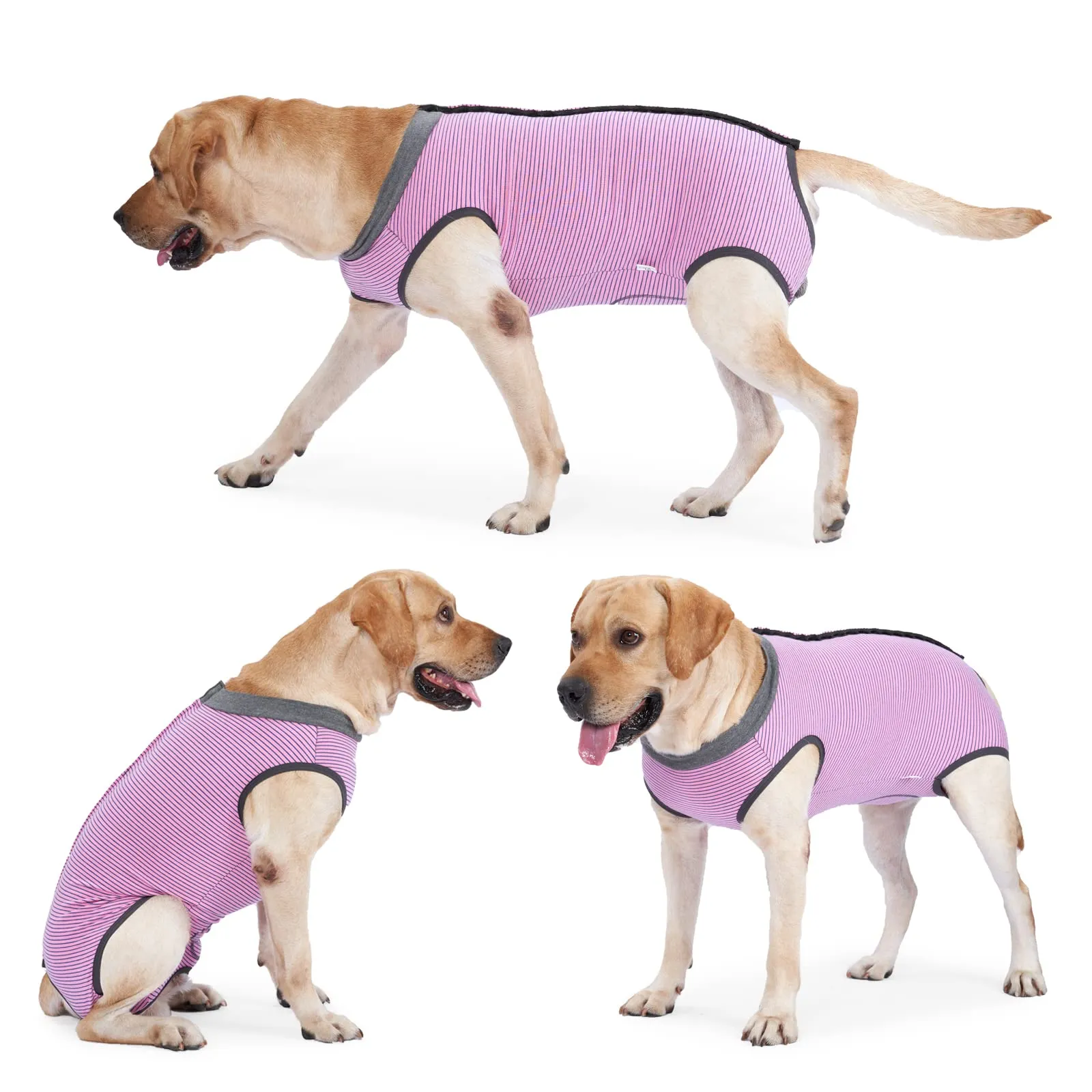 HEYWEAN Tutina Post Operatoria per Cane Femmina, XL, Rosa - immagine 7