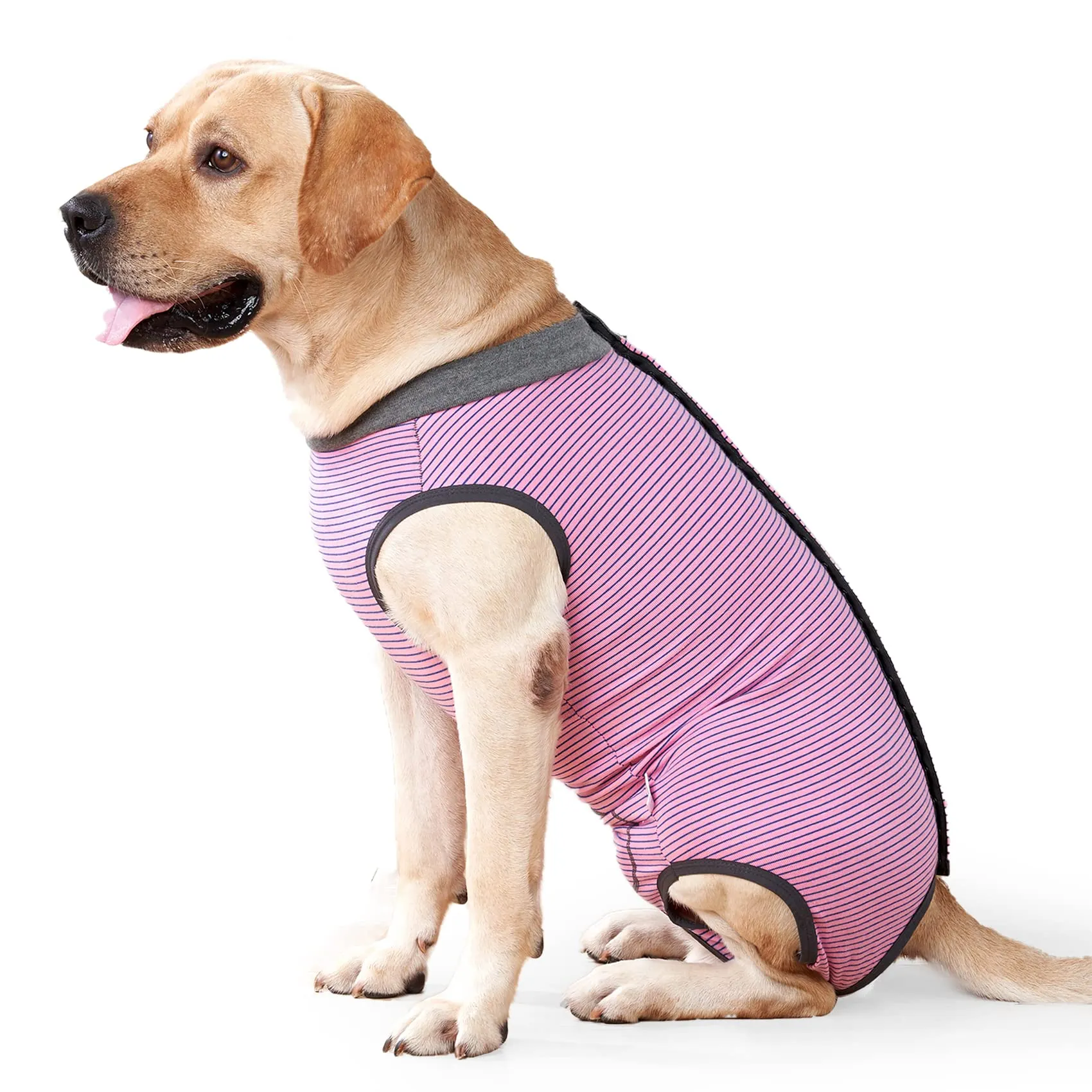 HEYWEAN Body Post Operatorio per Cani Femmina, Tutina Pigiama Chirurgica, Taglia XXL, Rosa, Animalier - immagine 1