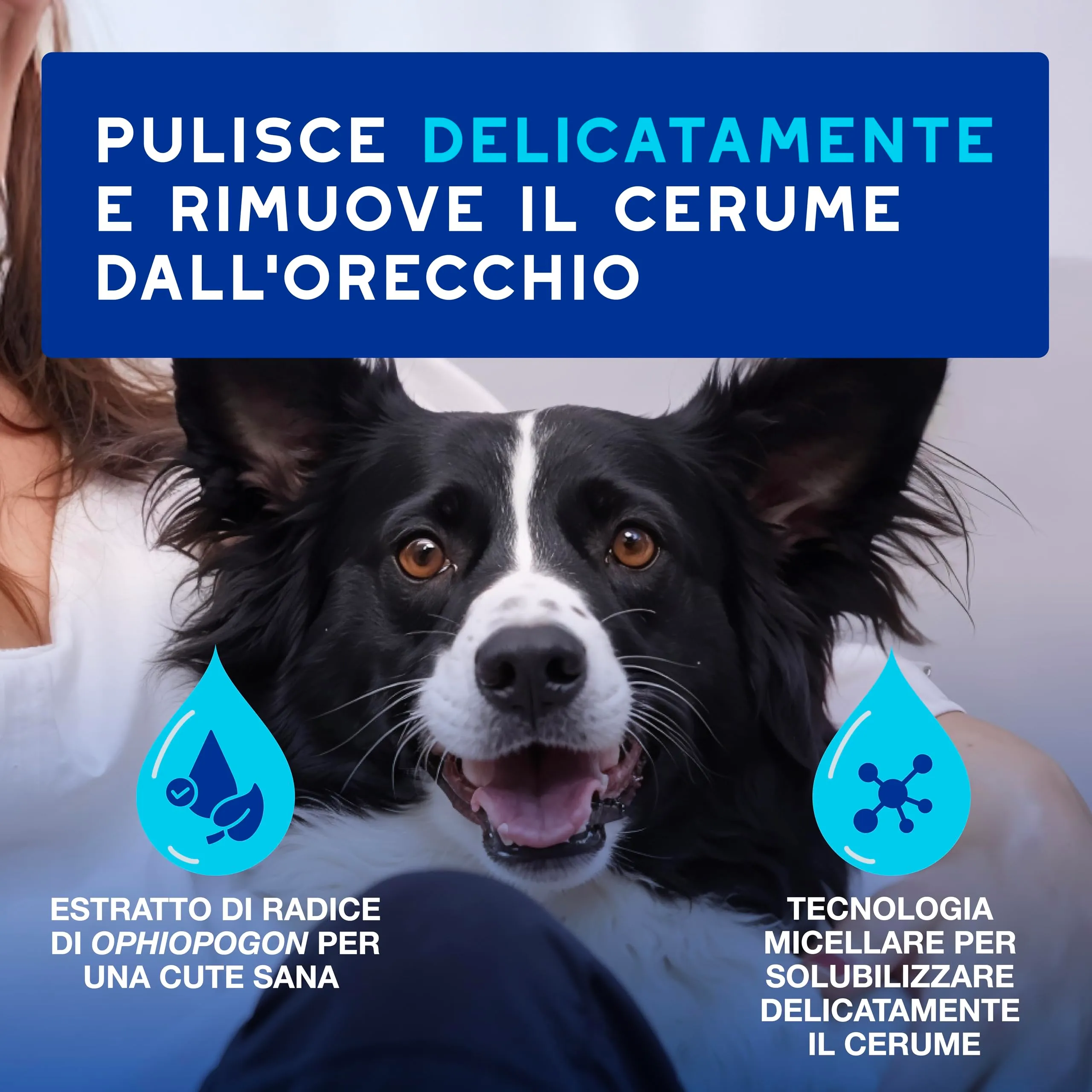 DOUXO Skin & Coat SPA Detergente per Orecchie Cani e Gatti, 120ml - immagine 2
