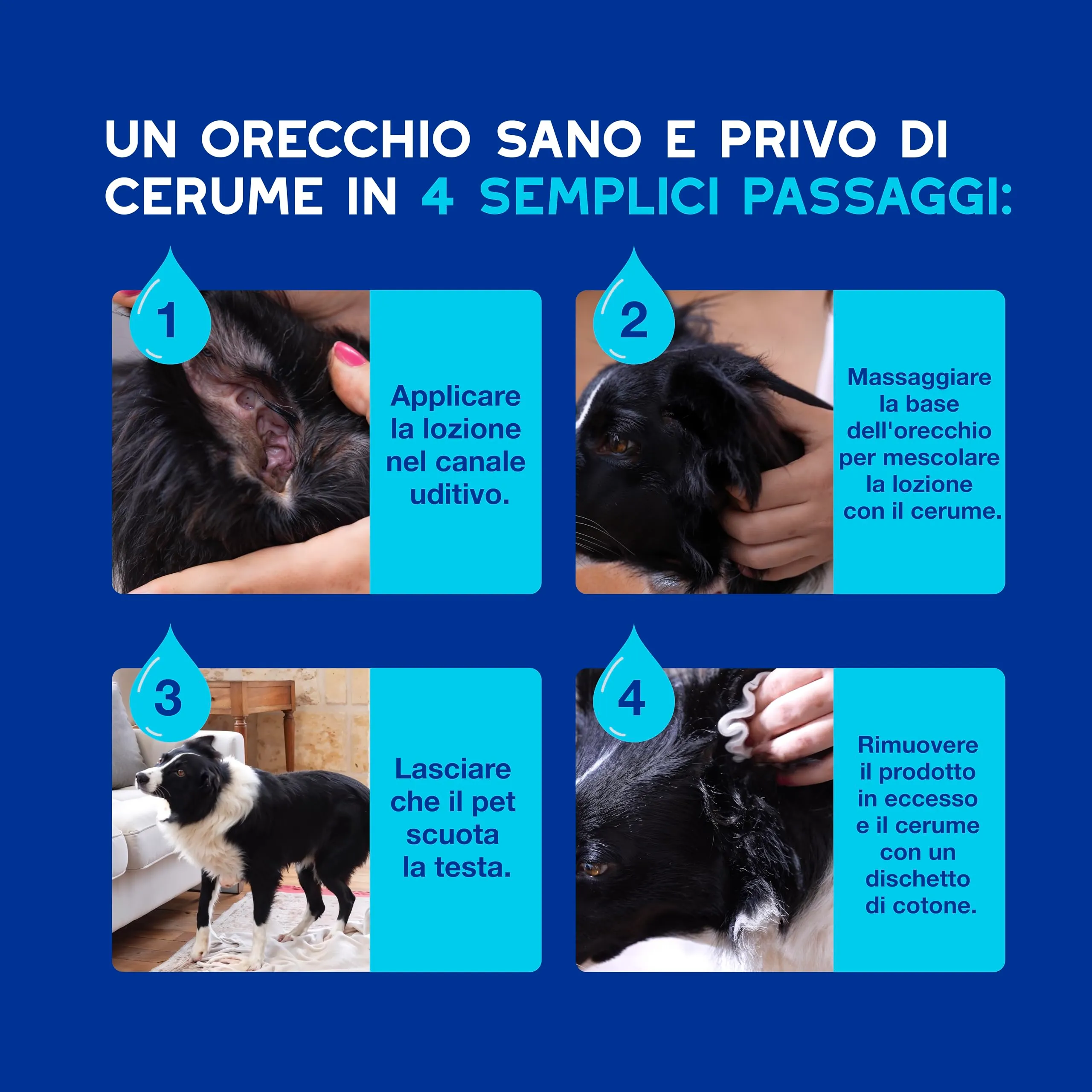 DOUXO Skin & Coat SPA Detergente per Orecchie Cani e Gatti, 120ml - immagine 6